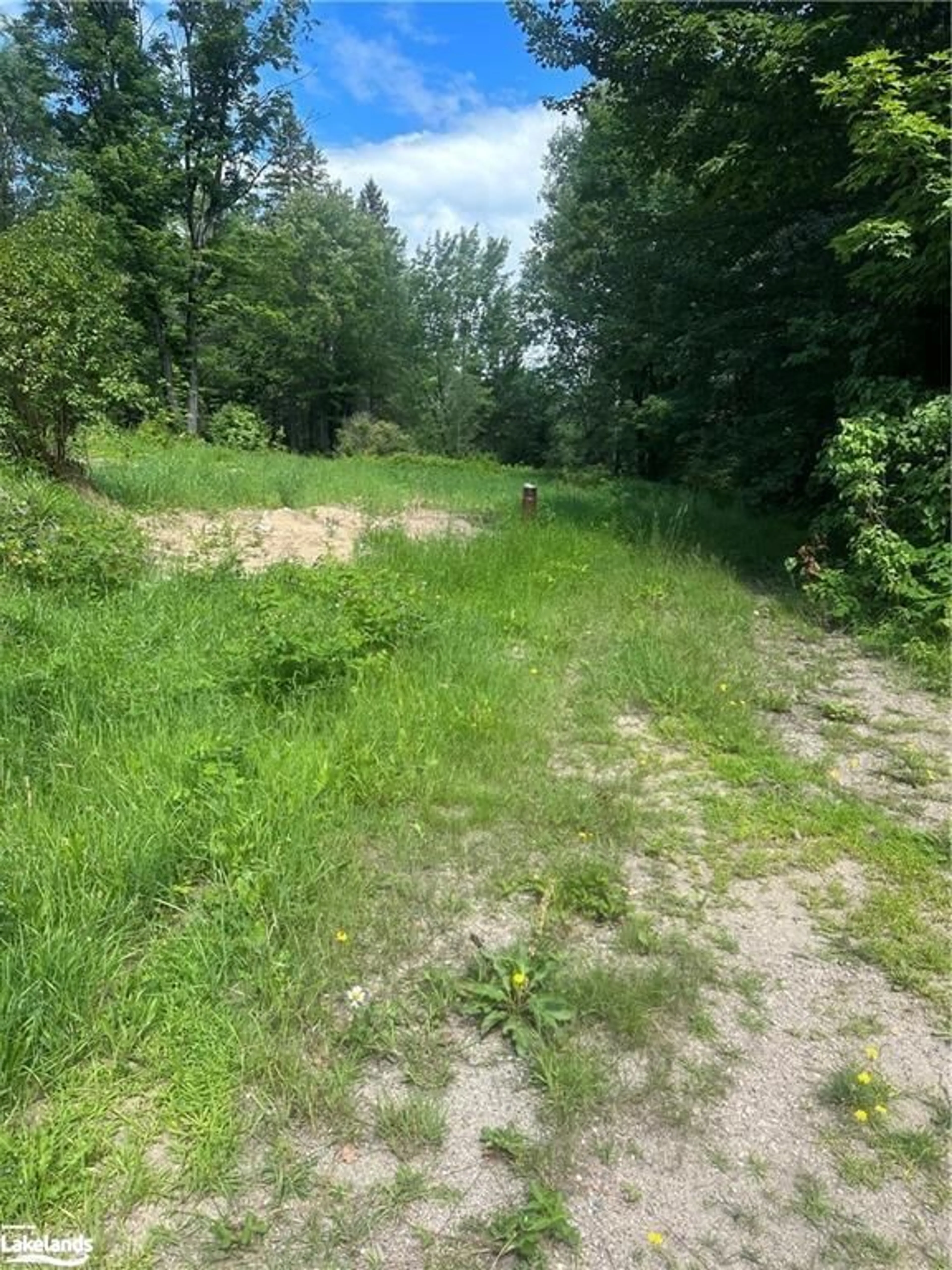 Forest view for 30 Peever Line, Powassan Ontario P0H 1Z0