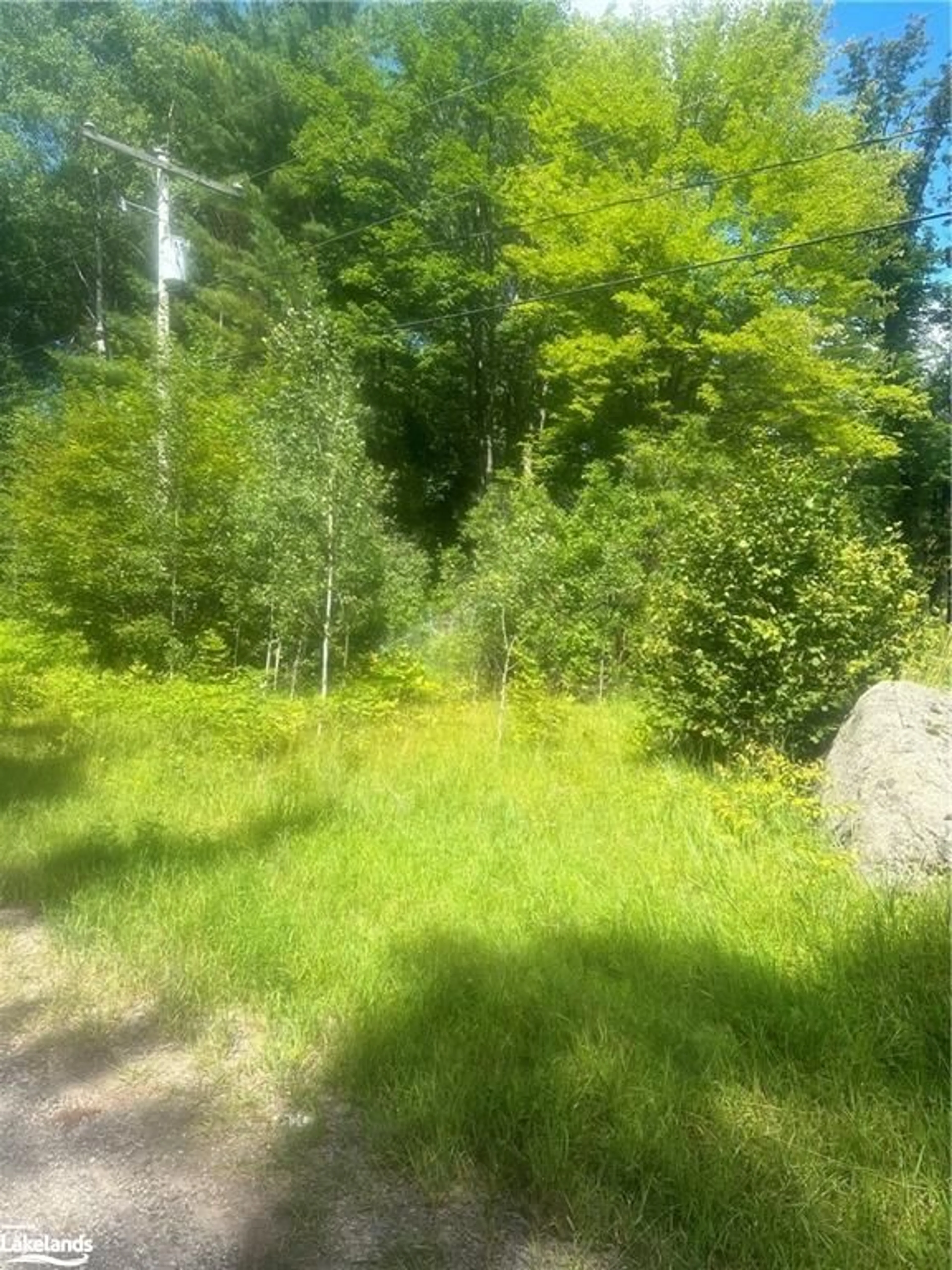 Forest view for 30 Peever Line, Powassan Ontario P0H 1Z0