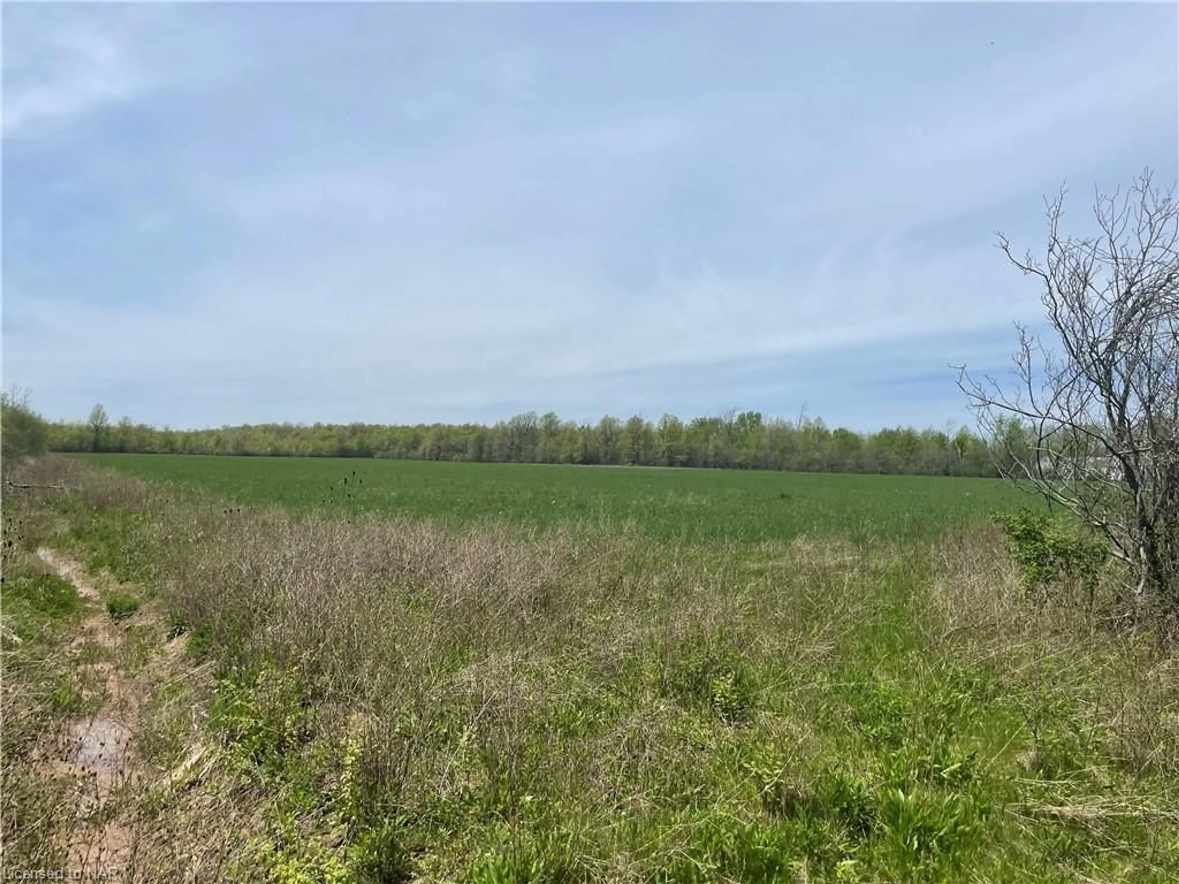 Forest view for PT LT 3 Sunset Dr, Fort Erie Ontario L2A 5M4