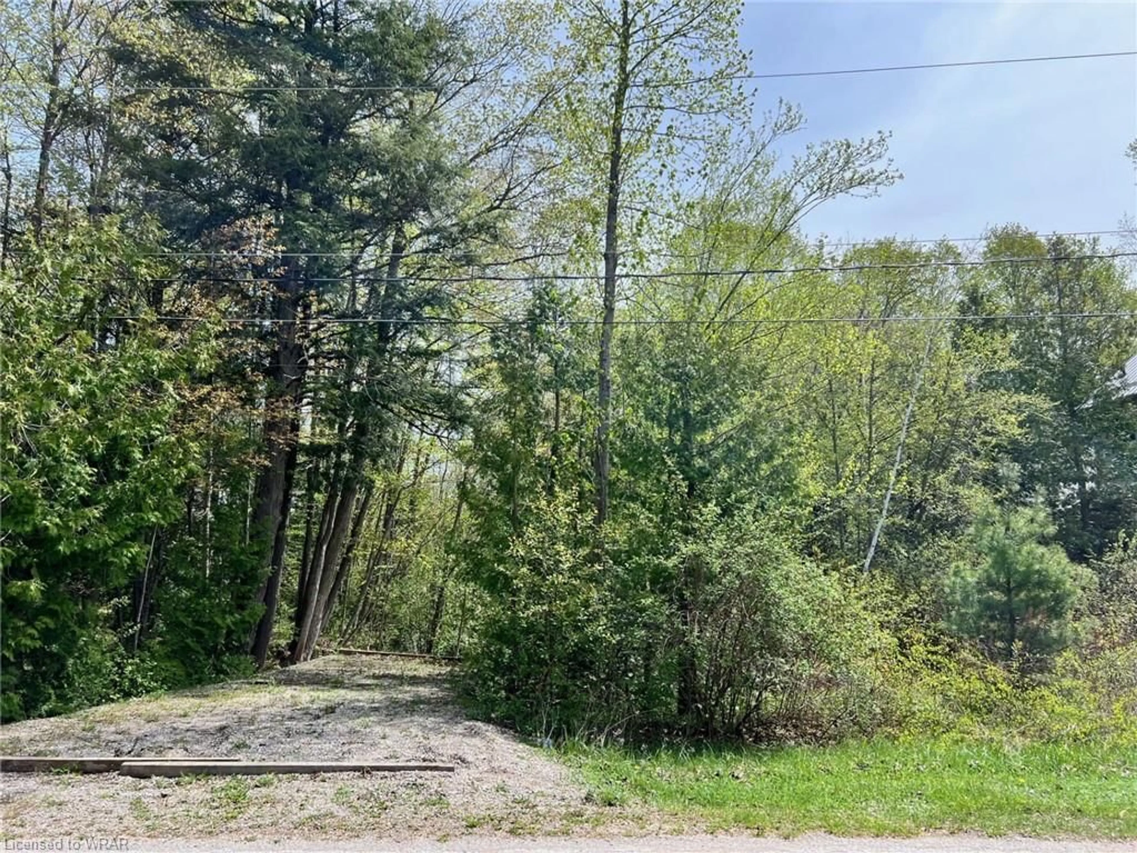 Forest view for 28 George St, Bayfield Ontario N0M 1G0