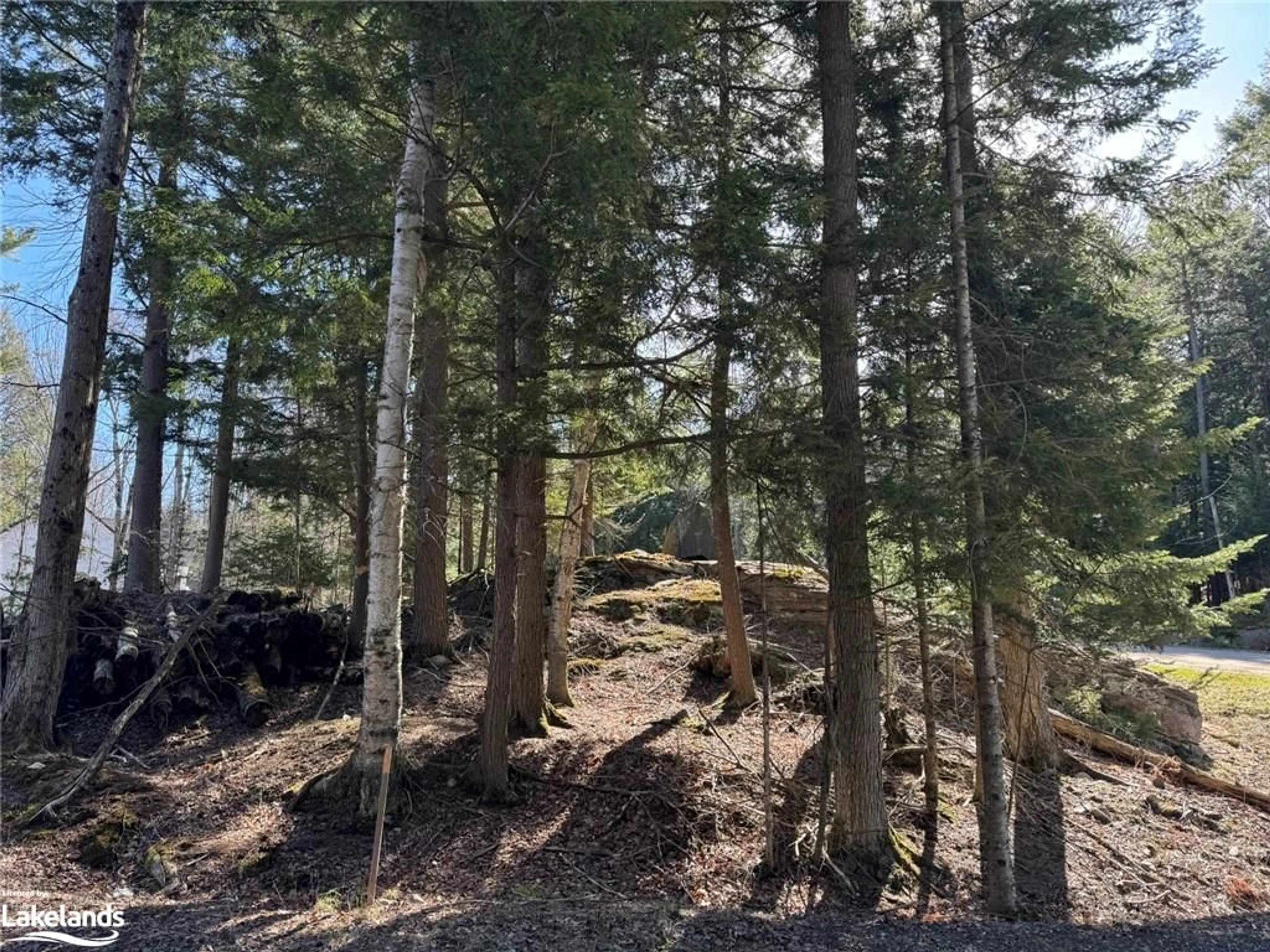 Forest view for 0 Lakeview St, Haliburton Ontario K0M 1S0