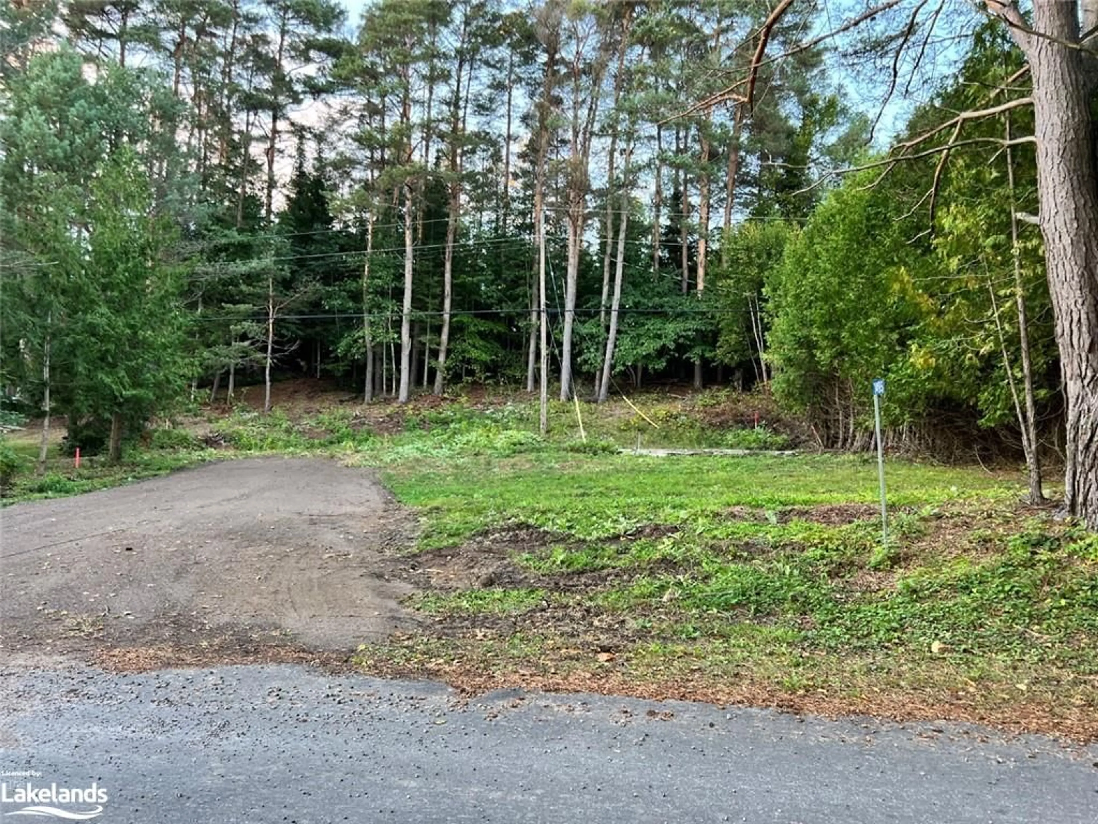Forest view for 1495 Green Lake Rd, Haliburton Ontario K0M 2S0