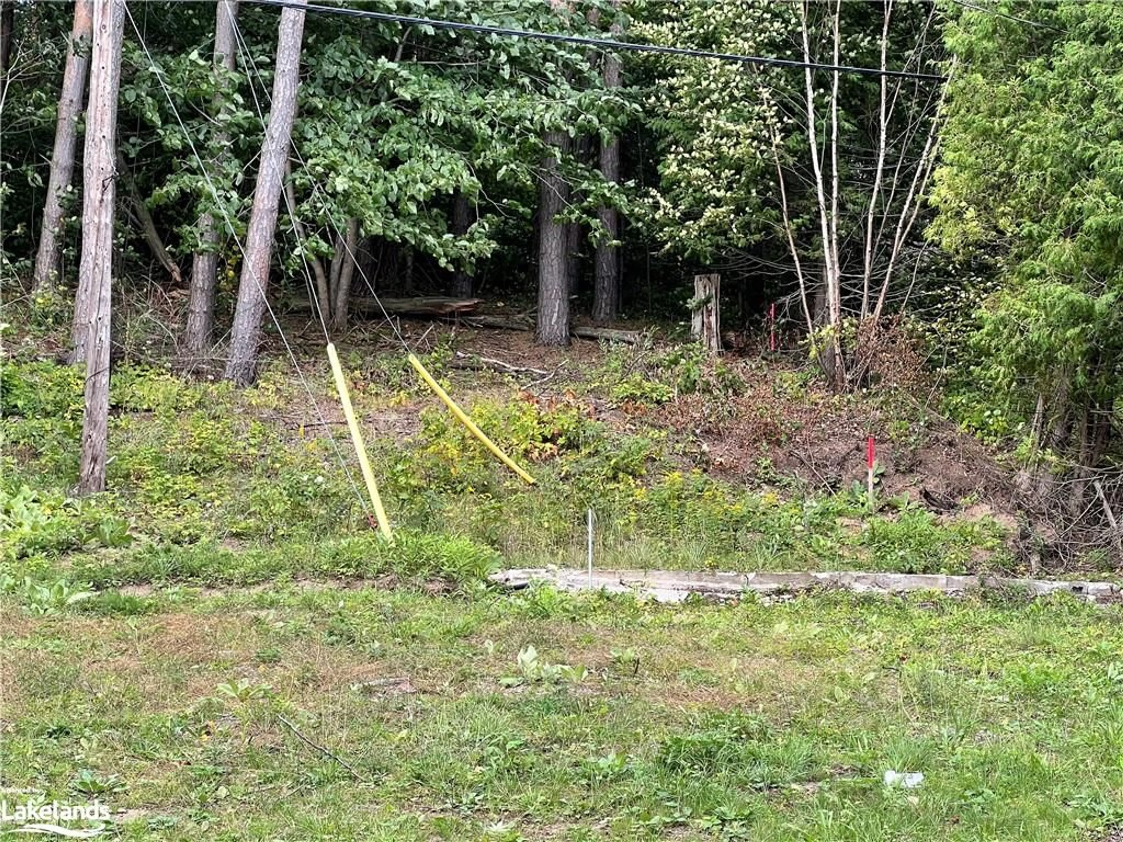 Fenced yard for 1495 Green Lake Rd, Haliburton Ontario K0M 2S0