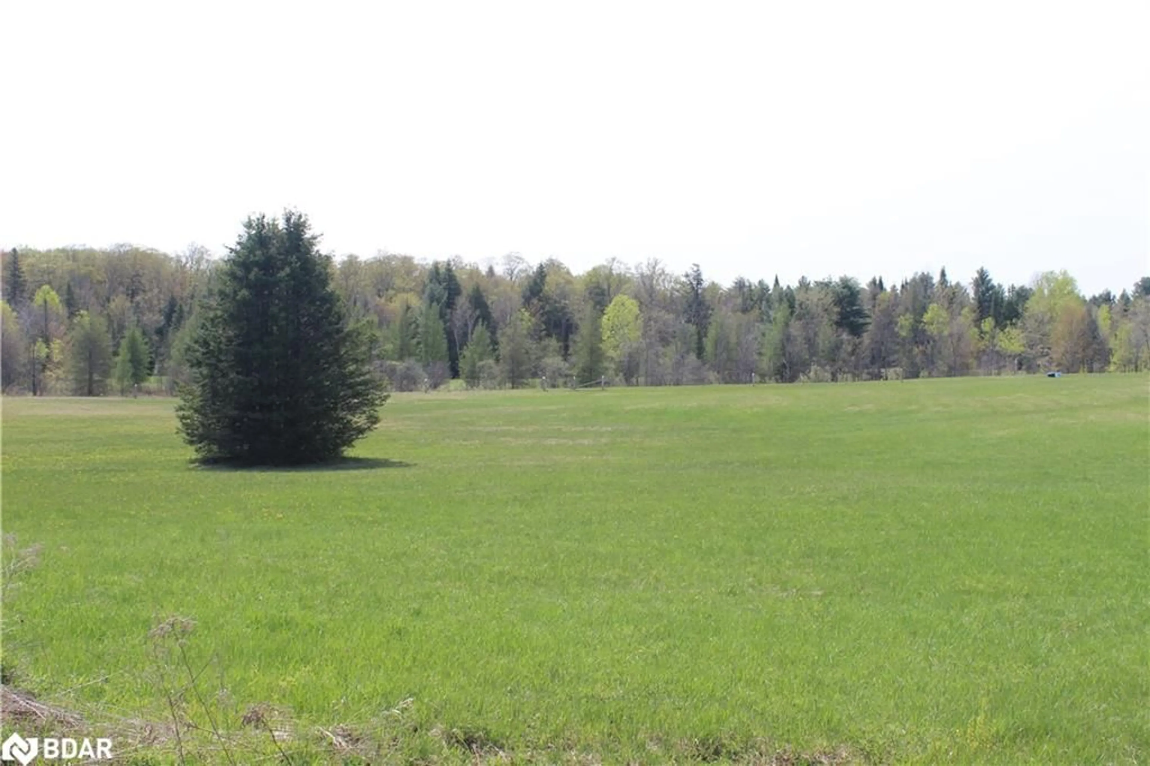 Forest view for 1226 Gull Lake Rd, Arden Ontario K0H 1B0