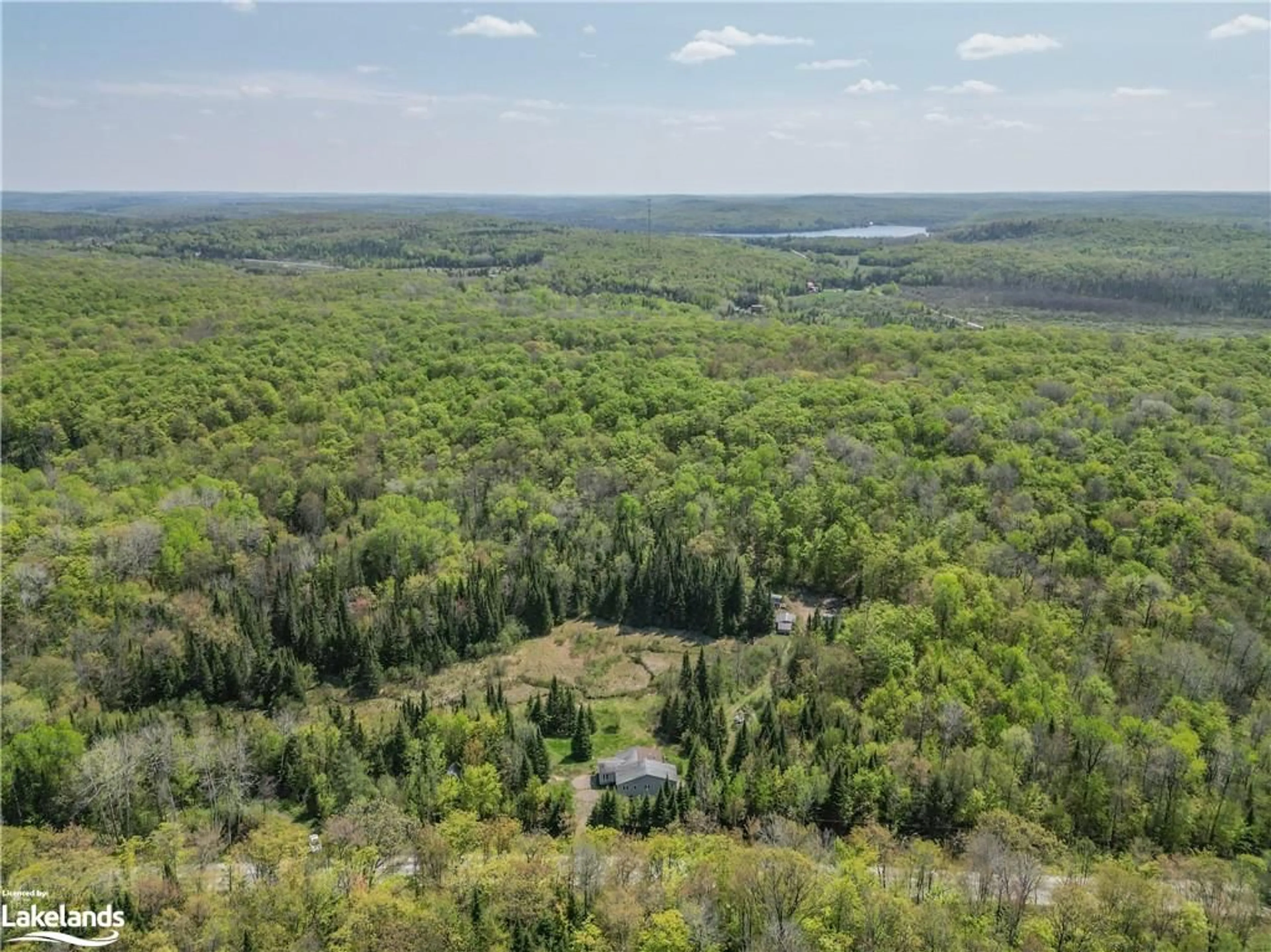 Forest view for 2314 South Horn Lake Rd, Burk's Falls Ontario P0A 1C0