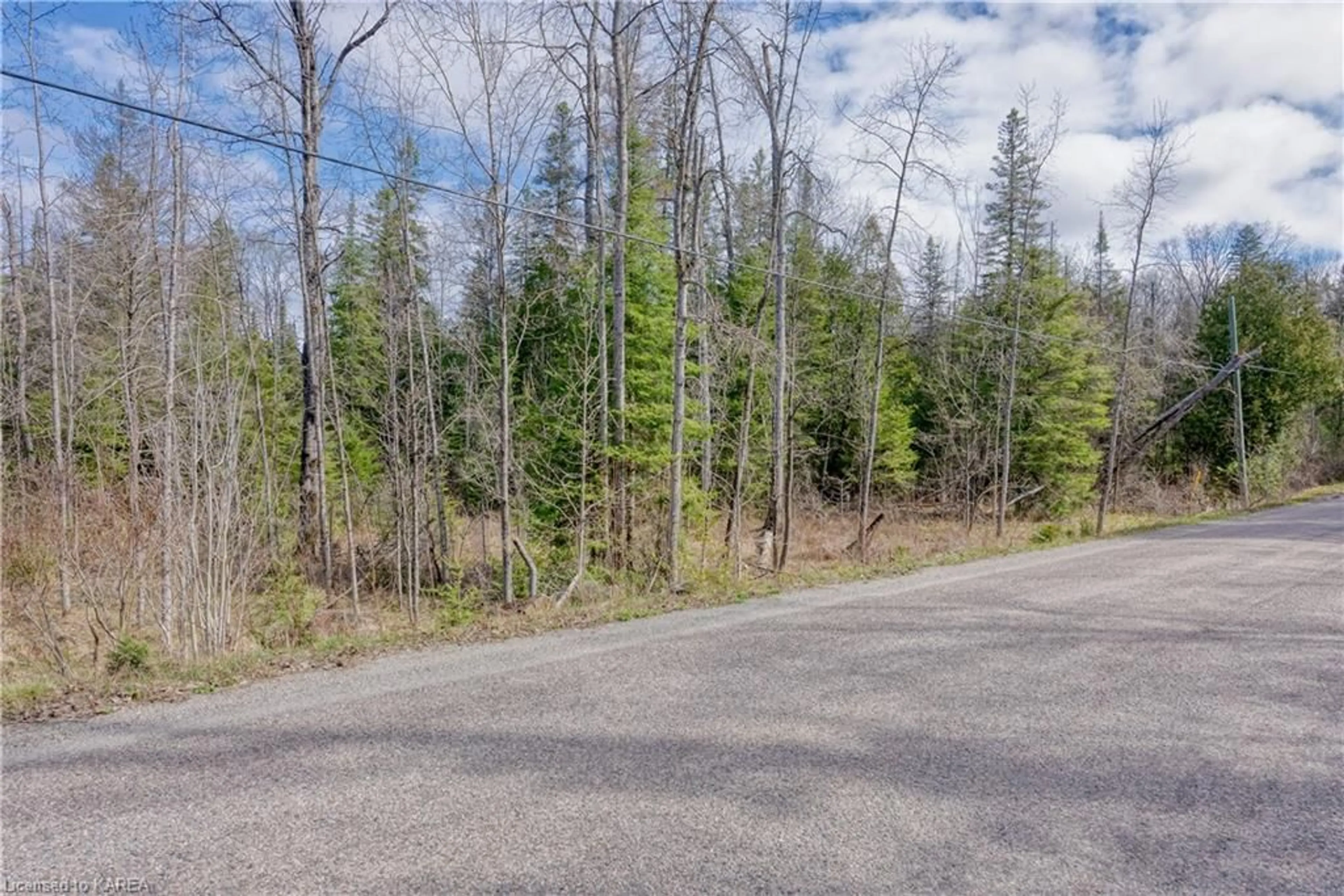 Forest view for PT LT 27 CON 8 S Lavant Rd, Ompah Ontario K0H 2J0
