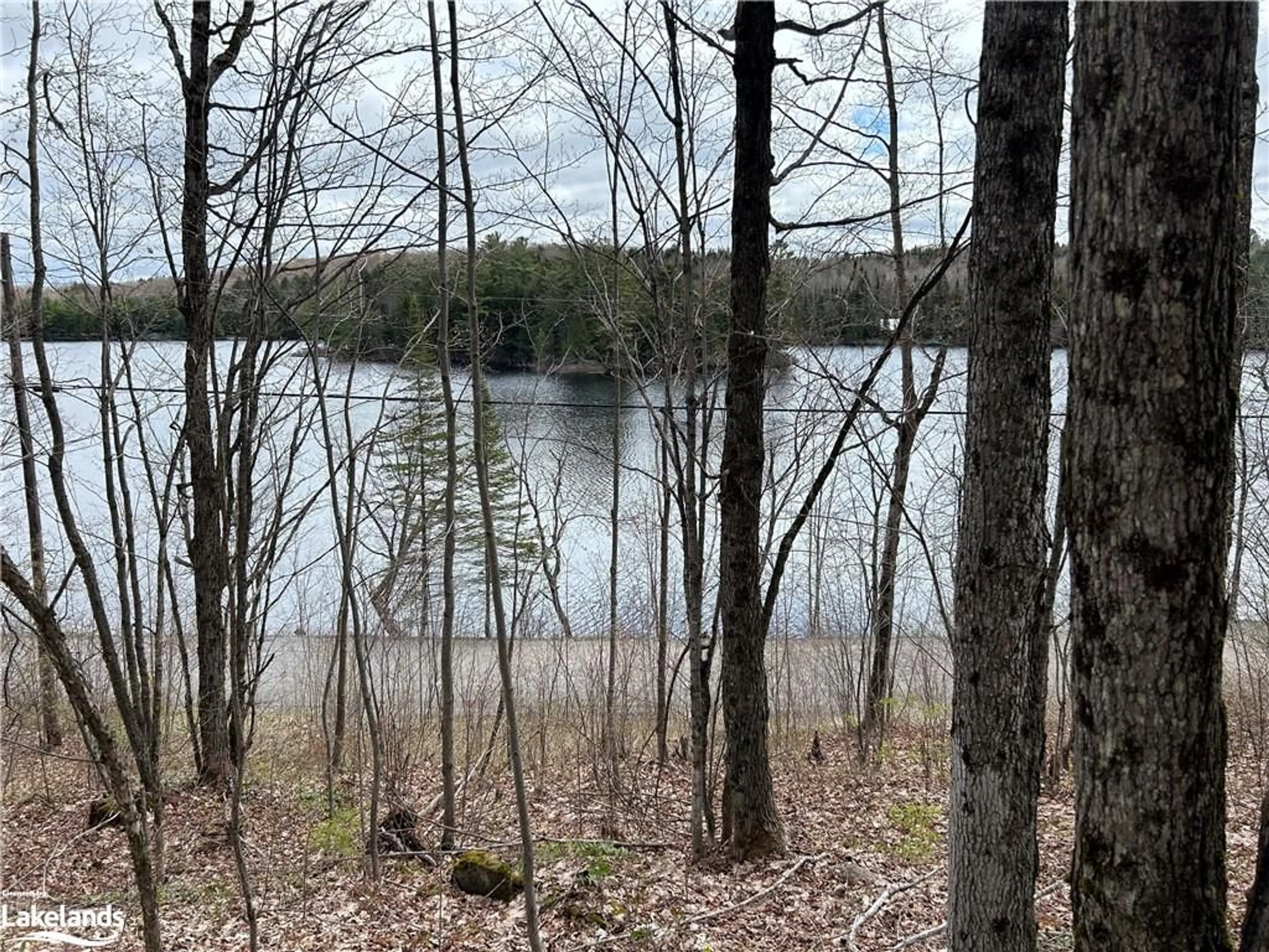 Forest view for 0 Brady Lake Rd, Minden Hills Ontario K0M 2K0