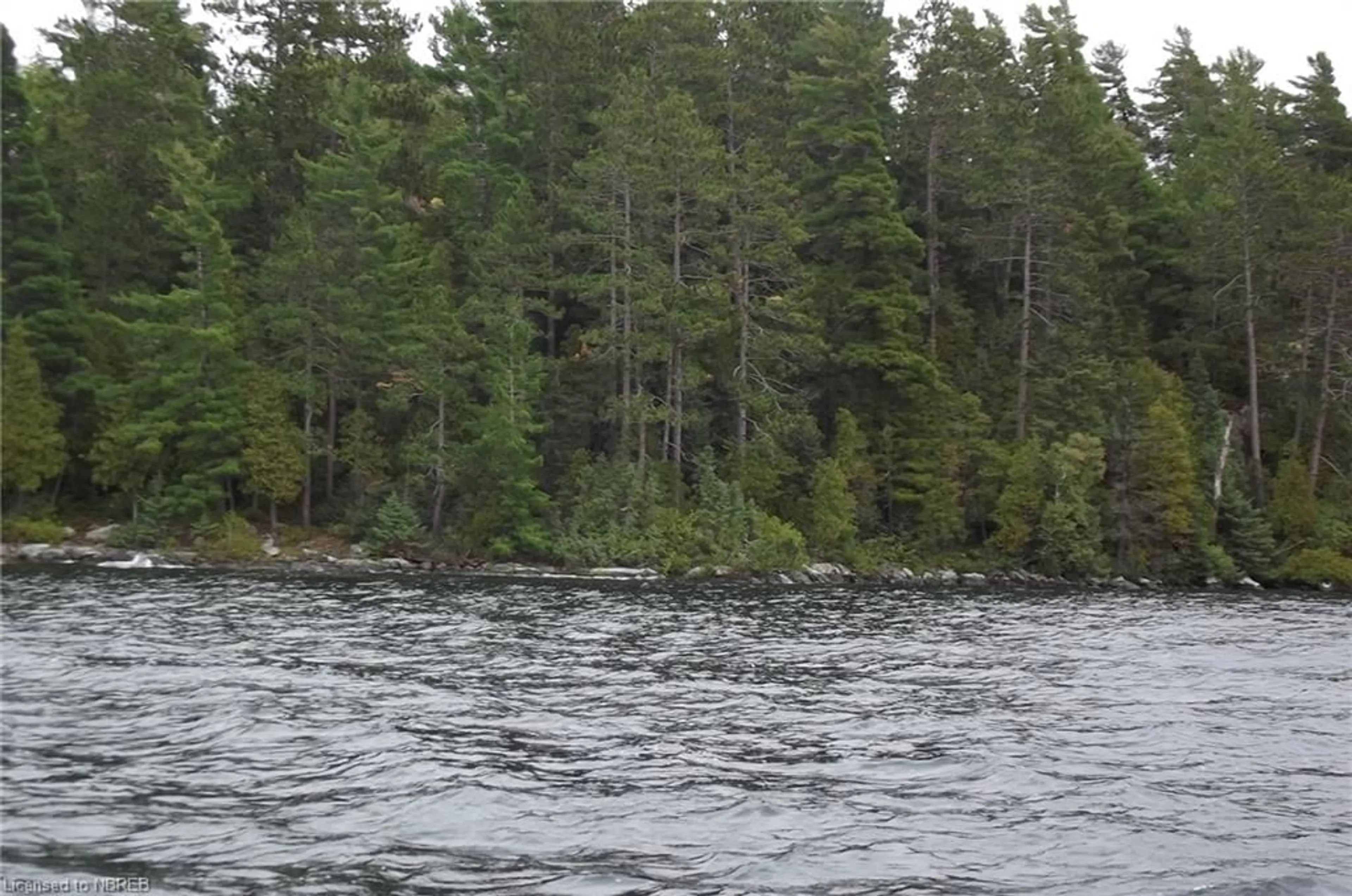 Forest view for 16 Lake Temagami Island 988, Temagami Ontario P0H 2H0