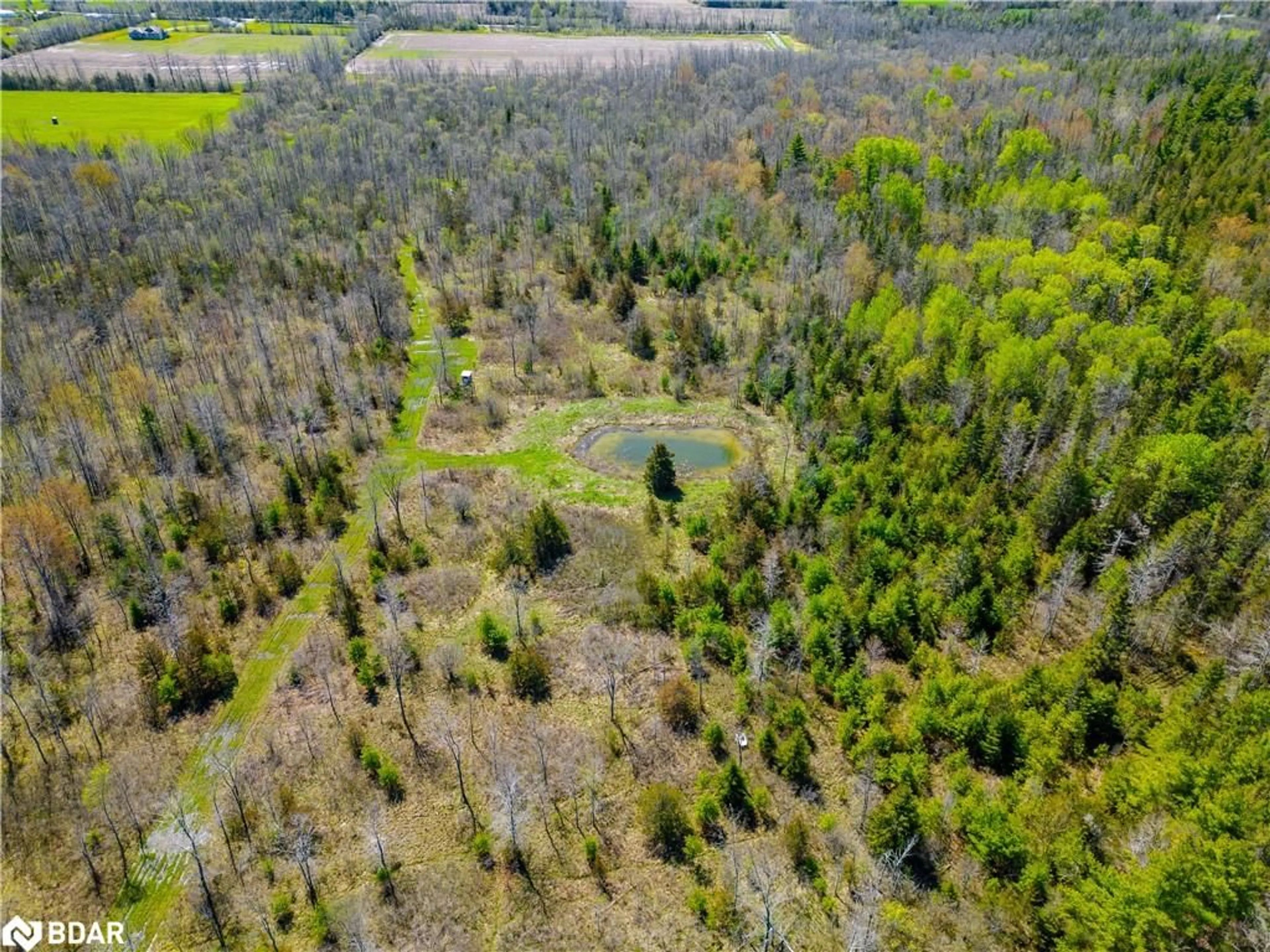 Forest view for 0 Callaghan Rd, Tyendinaga Ontario K0K 2N0