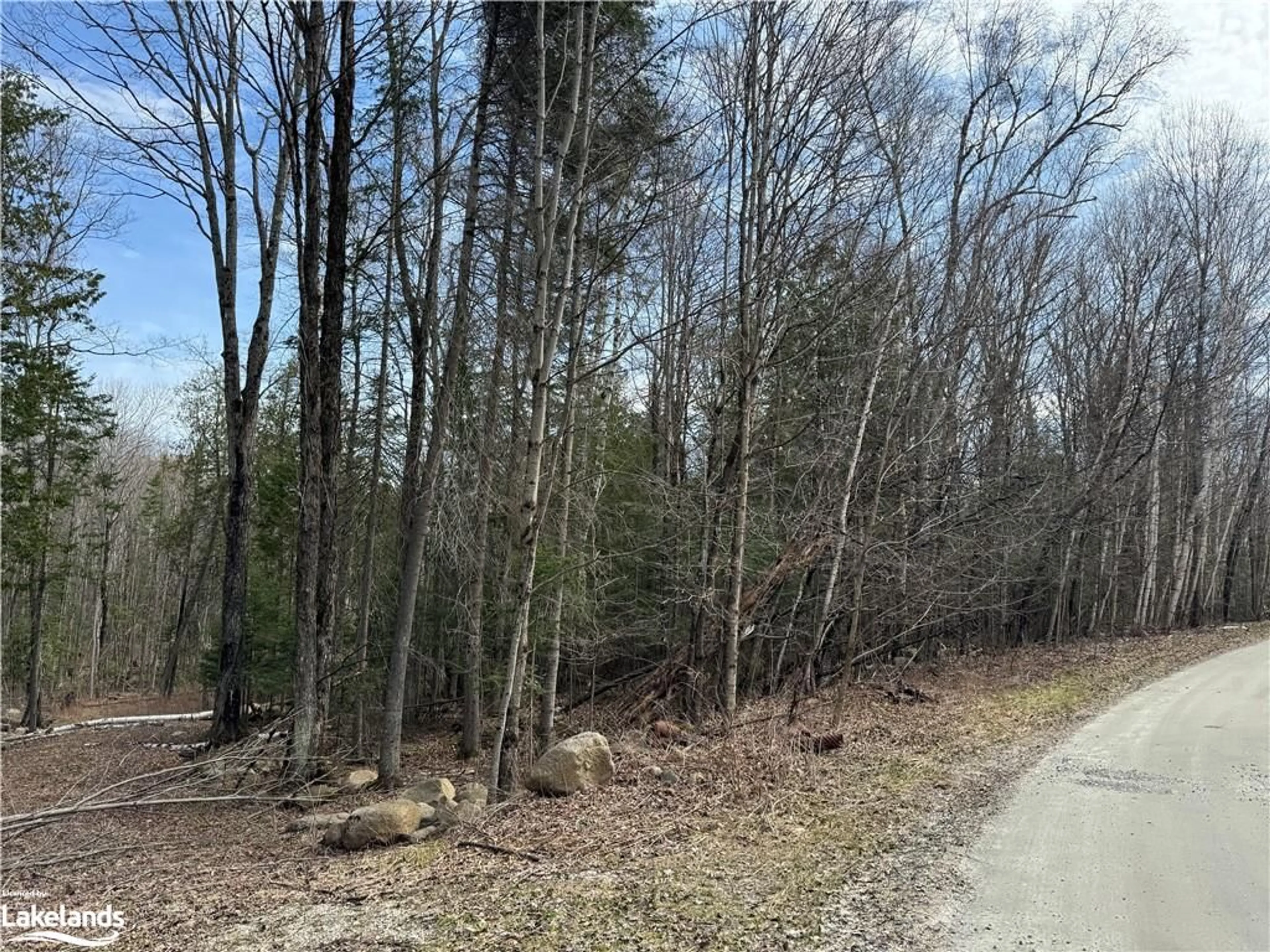 Forest view for 0 North Dr, Eagle Lake Ontario K0M 1M0