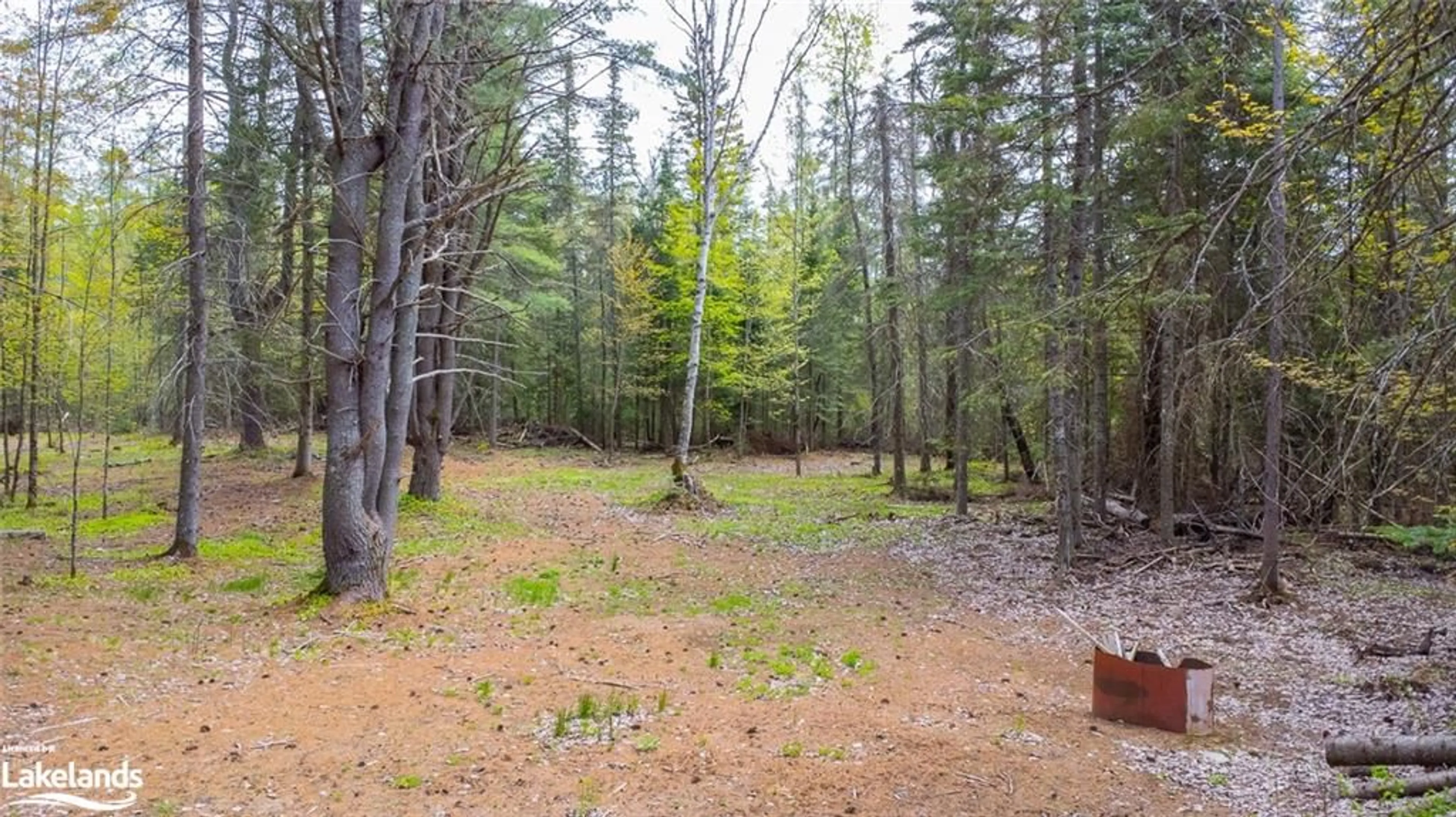 Forest view for PART 11-12 CON  Haliburton Lake Rd, Haliburton Ontario K0M 1S0