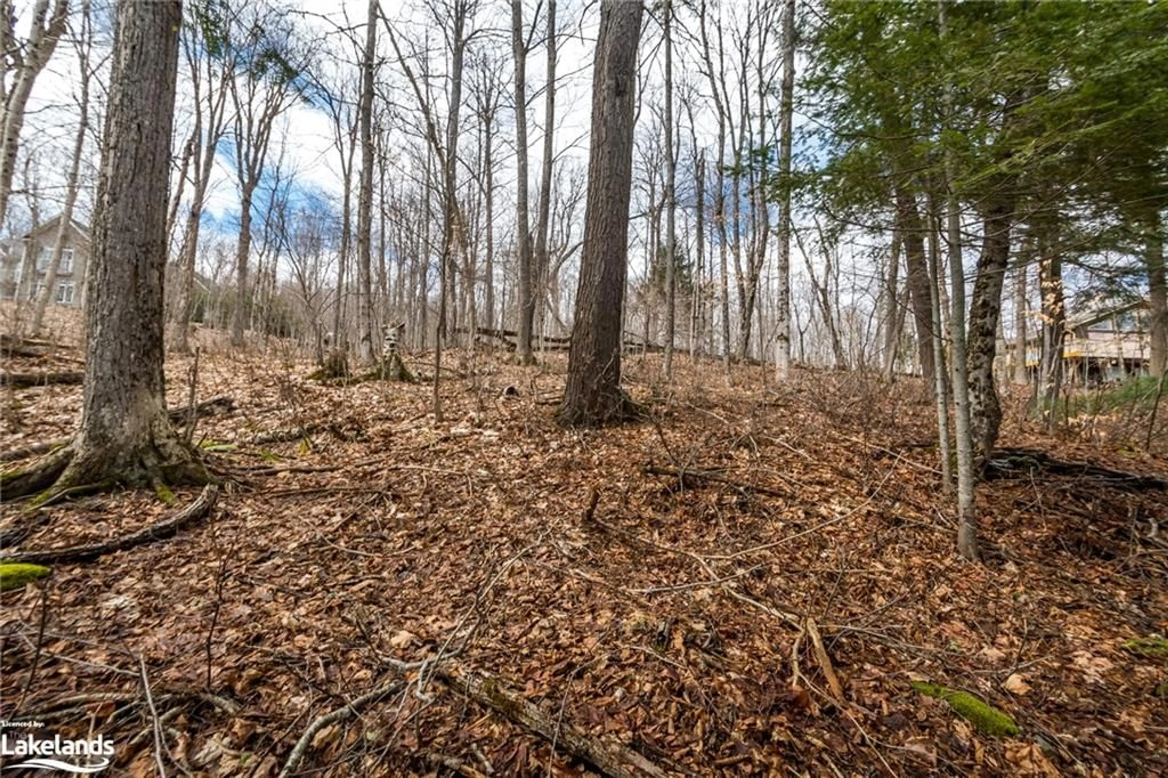 Forest view for 36 Port Vernon Lane, Huntsville Ontario P1H 2J2