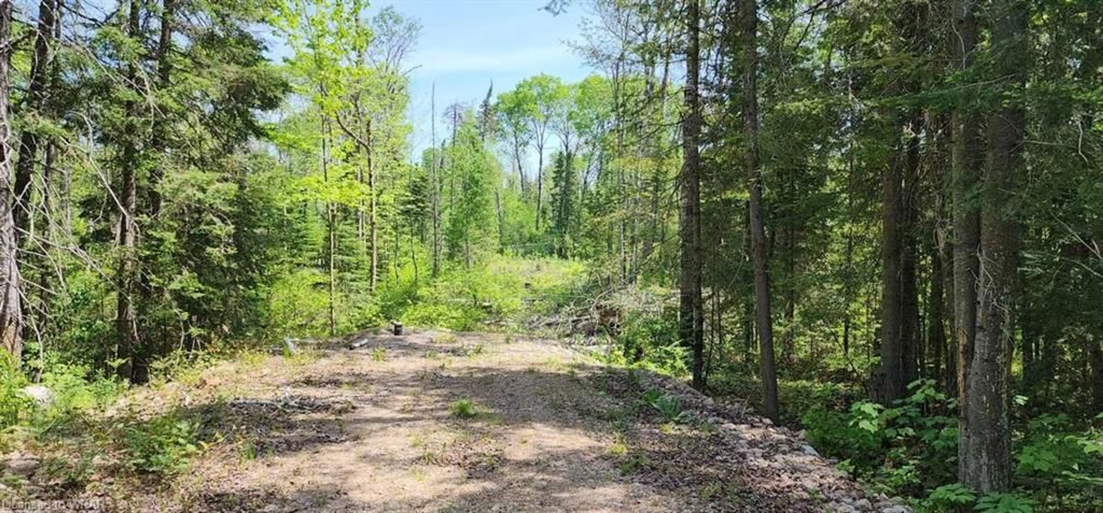Forest view for LOT 13 One Mile Rd, Corbeil Ontario P0H 1K0