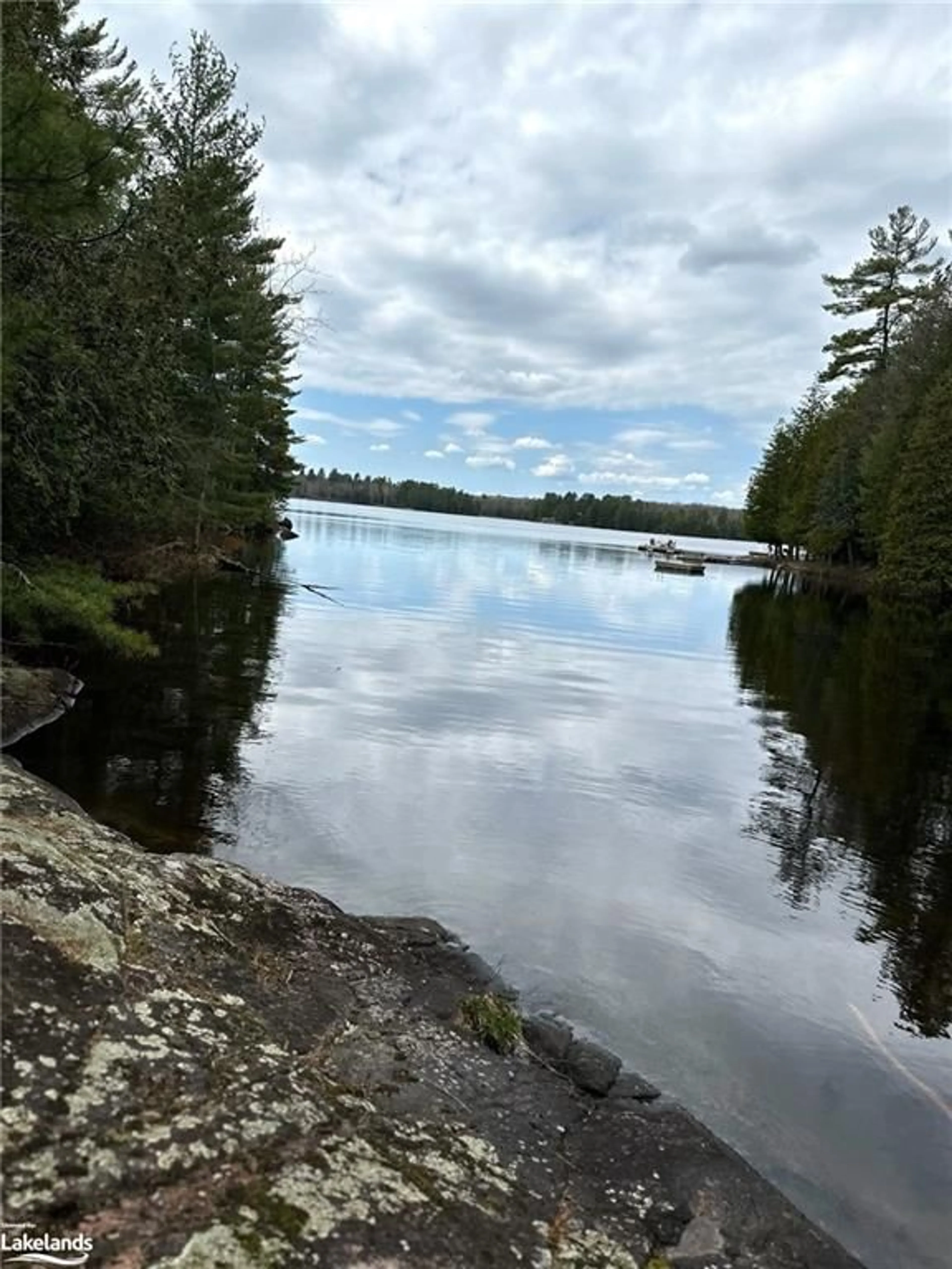 Lakeview for BESIDE 225 Crego Lake Rd, Kinmount Ontario K0M 2A0