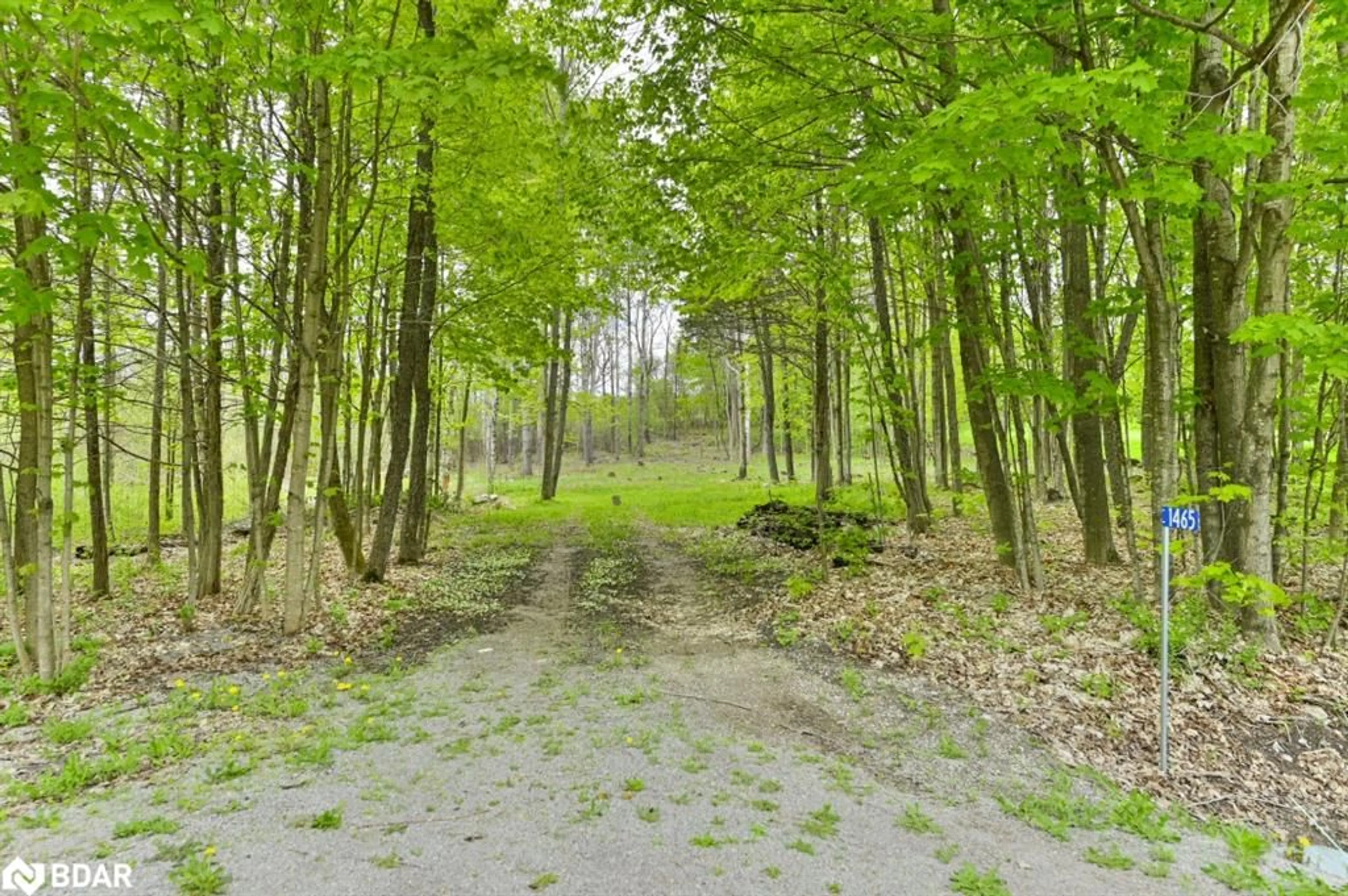 Street view for 1465 Phillipston Rd, Roslin Ontario K0K 2Y0