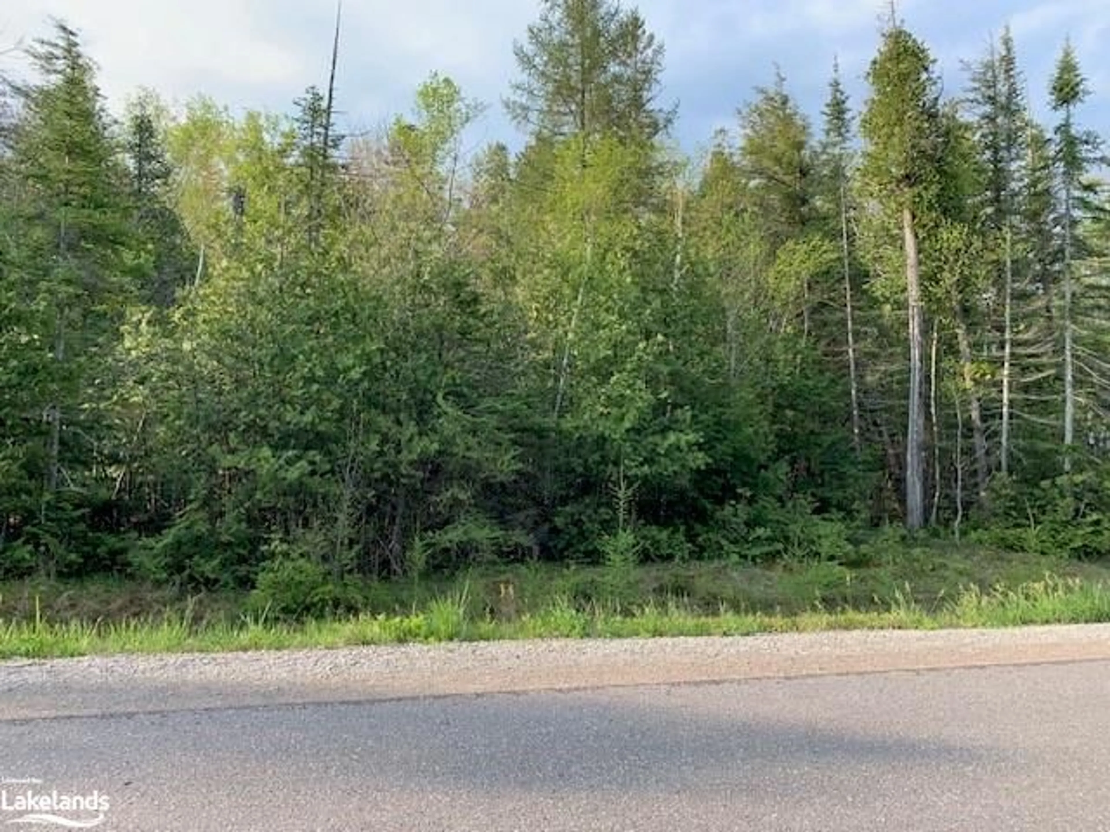 Forest view for LOT 266 Champlain Rd, Tiny Ontario L9M 0C6