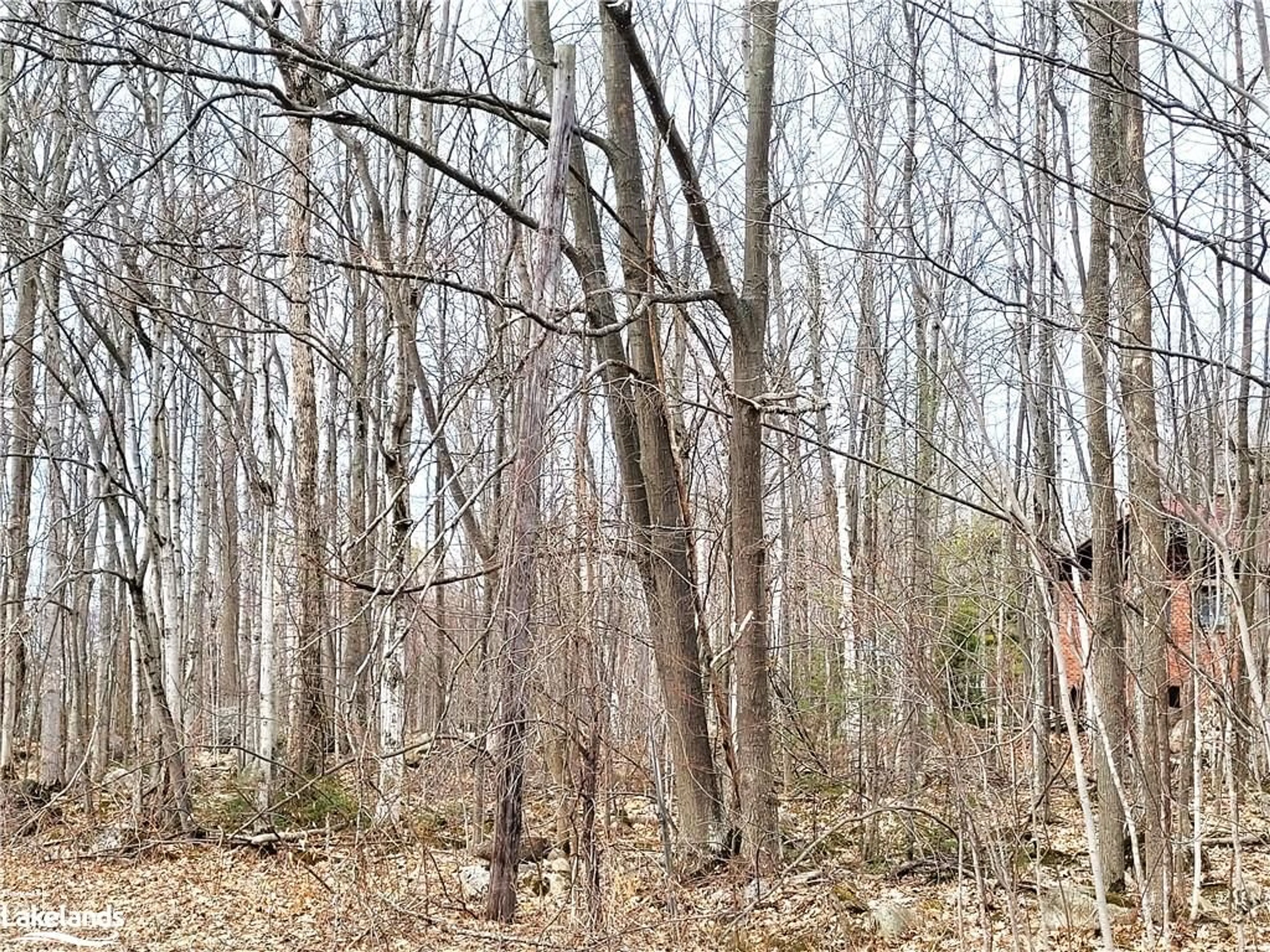 Forest view for LOT 27 Mulberry Crt, Tiny Ontario L9M 0H8