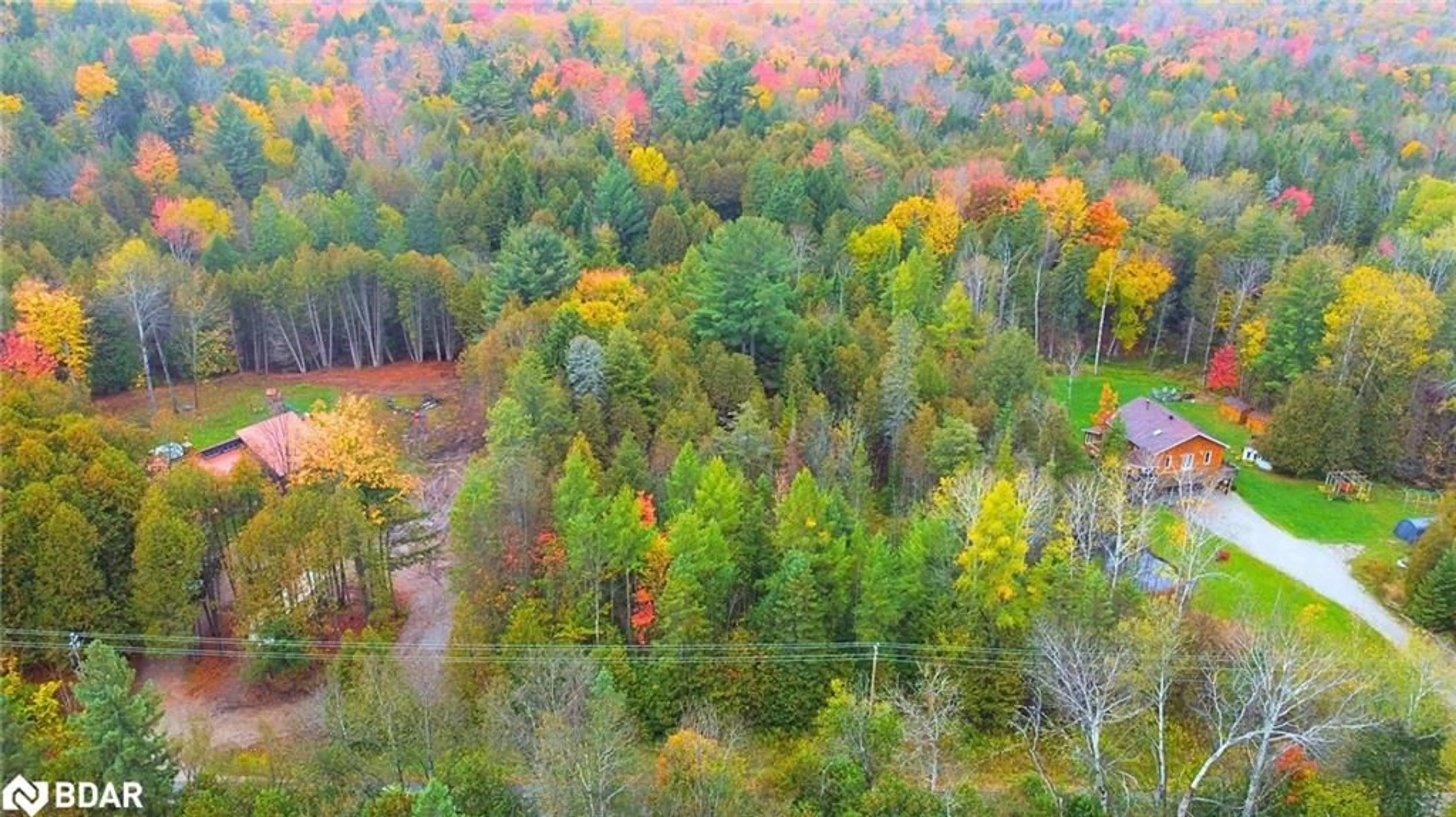 Forest view for PT 7 Line 8 North, Oro-Medonte Ontario L0K 1E0