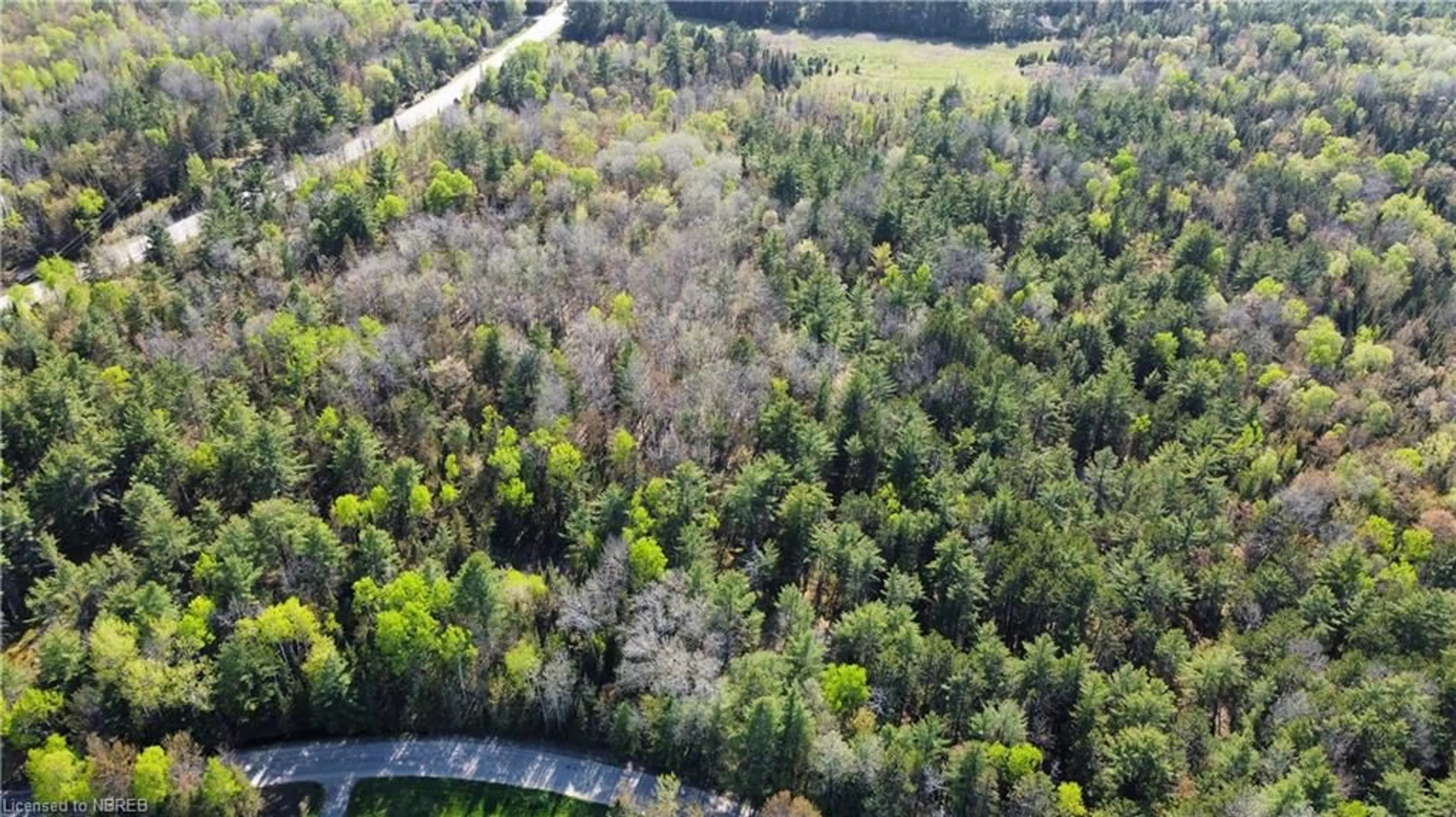 Forest view for PART 1 Lighthouse Rd, Callander Ontario P0H 1H0
