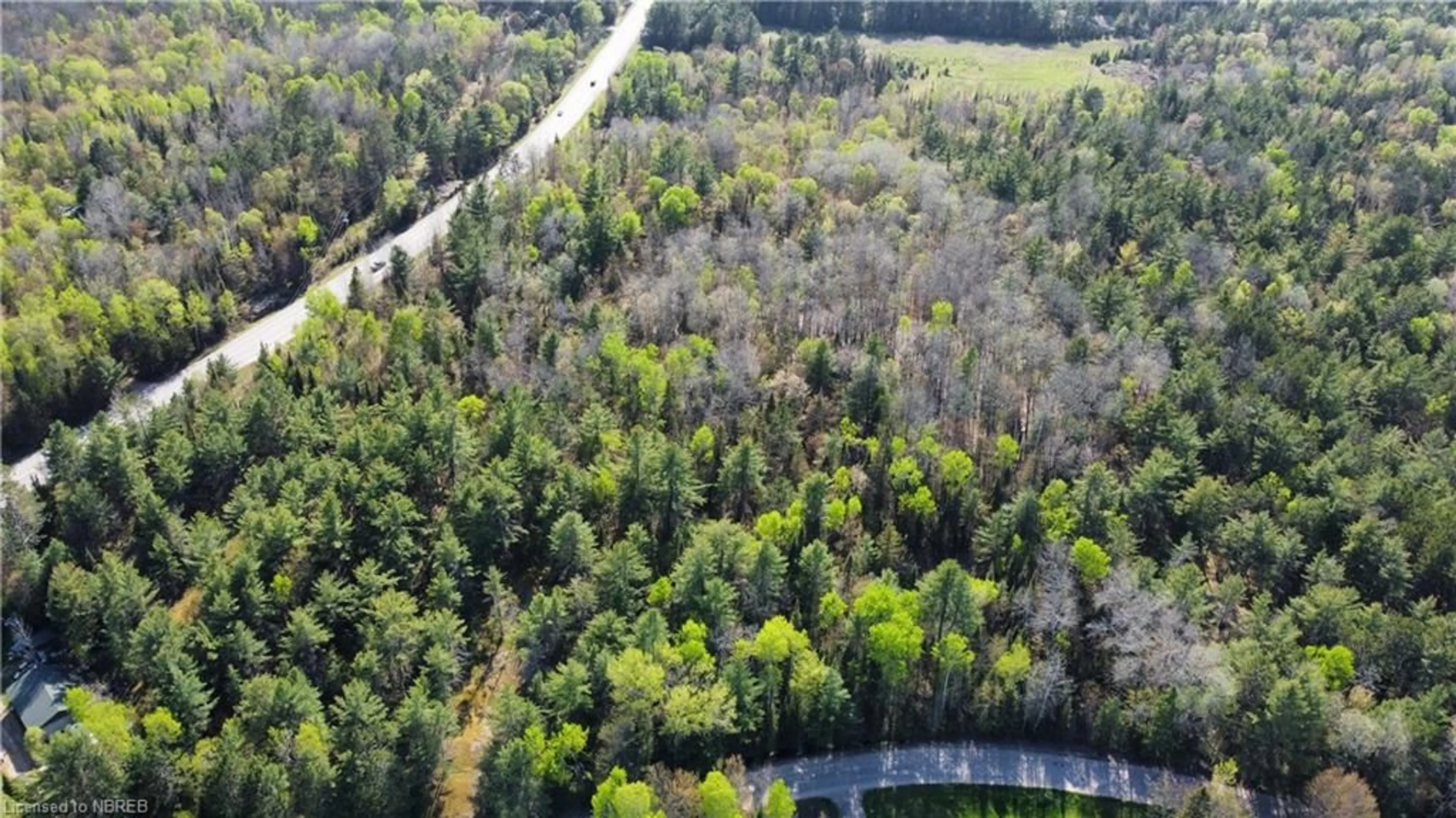 Forest view for PART 2 Lighthouse Rd, Callander Ontario P0H 1H0