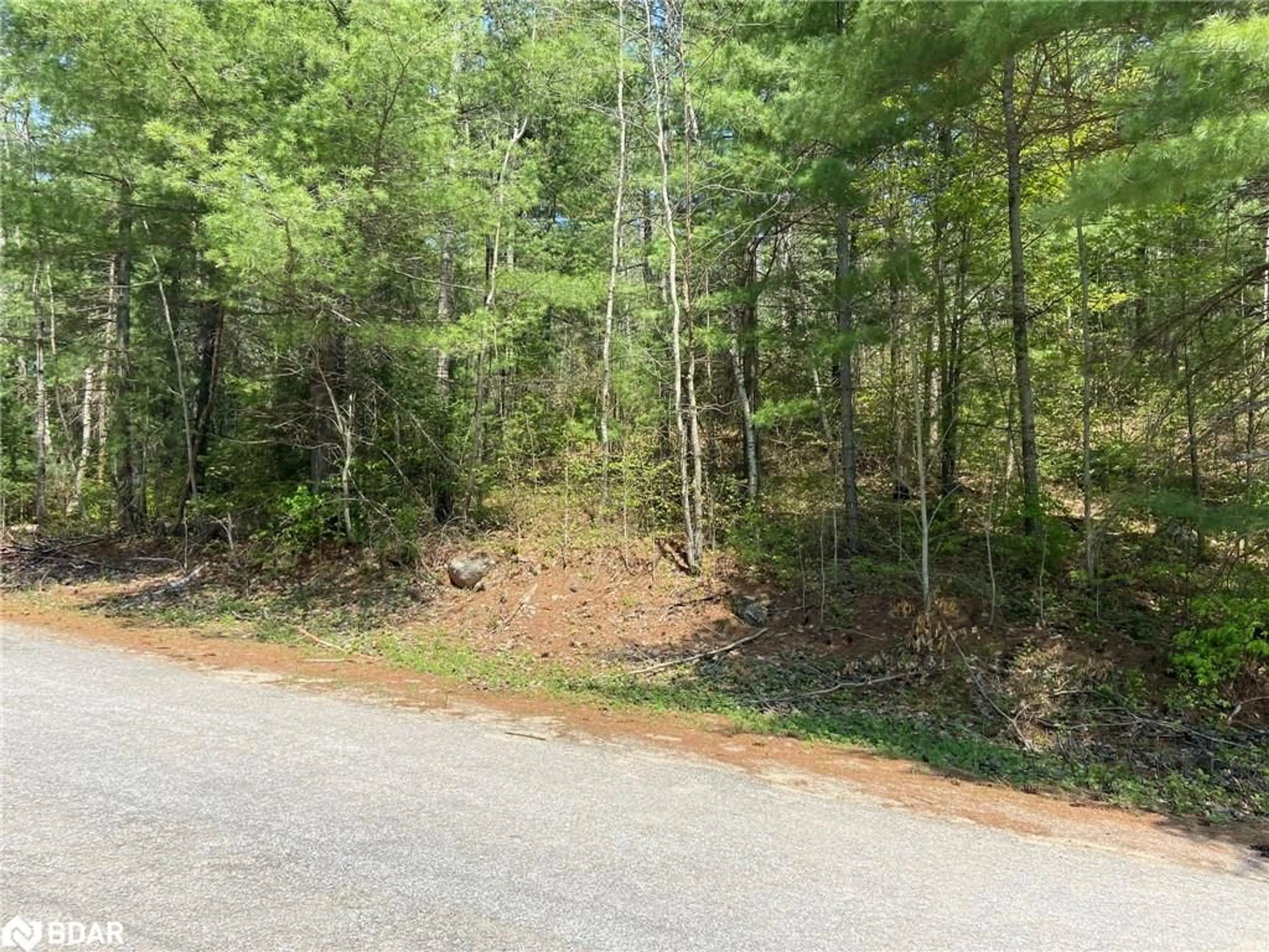 Forest view for N/A Boulter Lake Rd, Hastings Highlands Ontario K0L 2K0