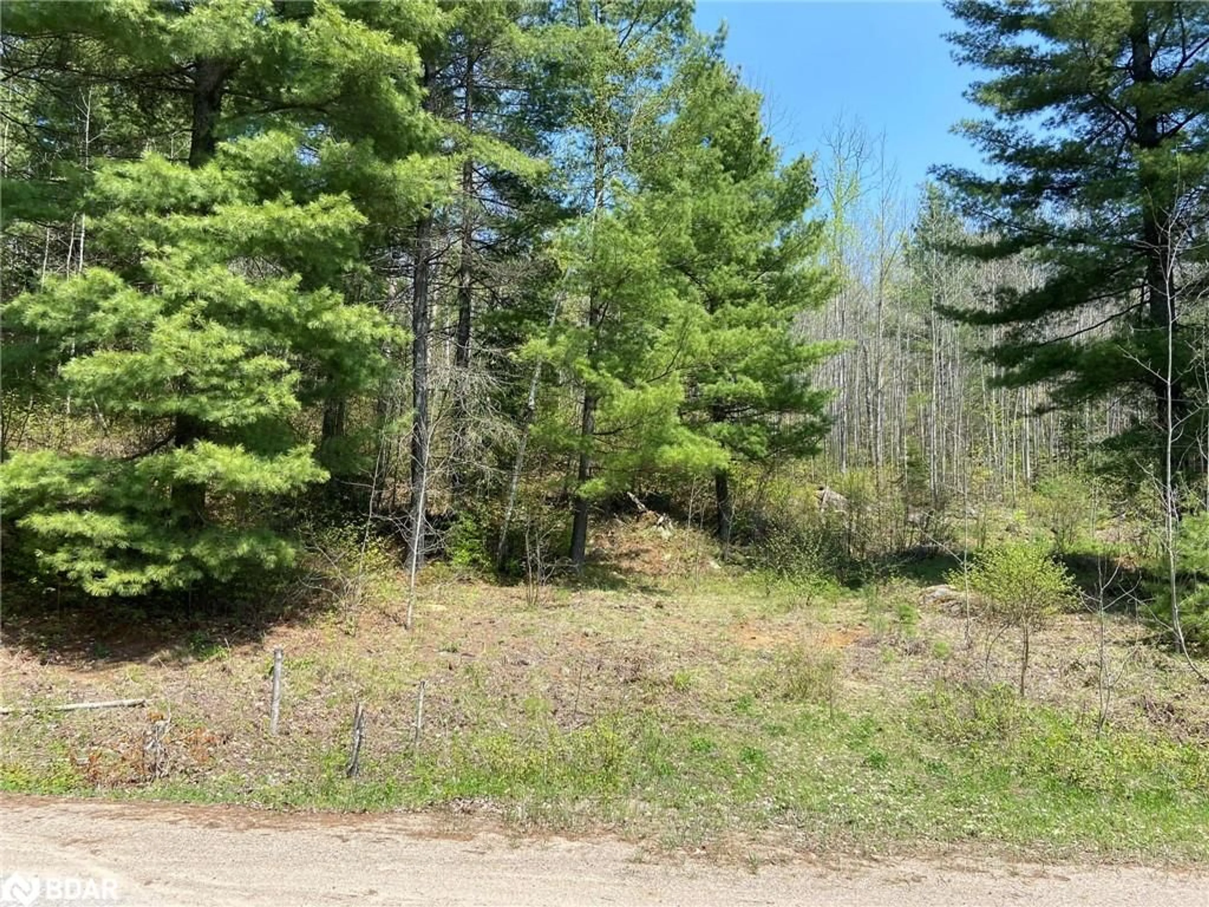 Forest view for N/A Boulter Lake Rd, Hastings Highlands Ontario K0L 2K0
