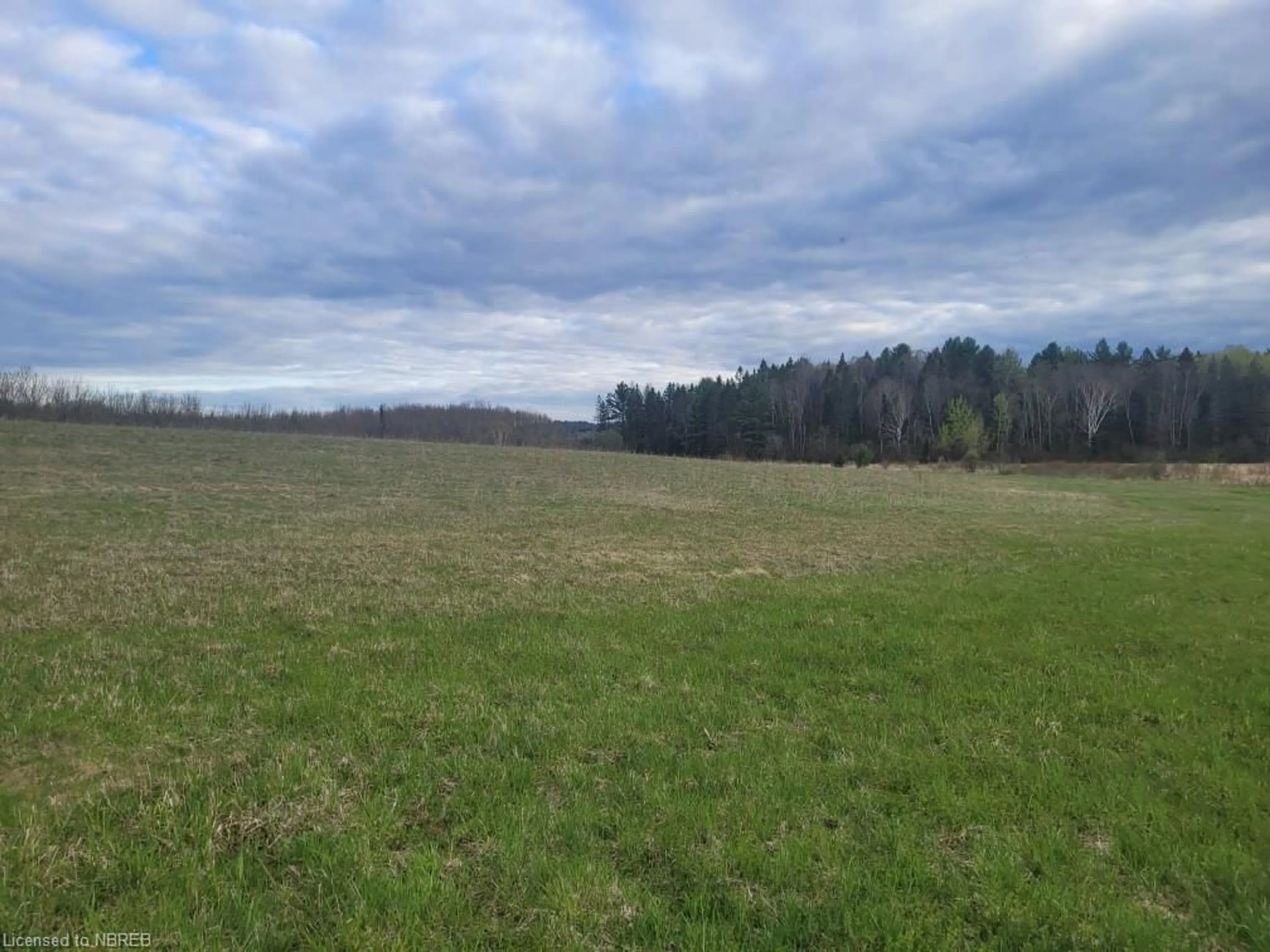 Forest view for LOT 29 CON 2 Adams Rd, Mattawa Ontario P0H 1V0
