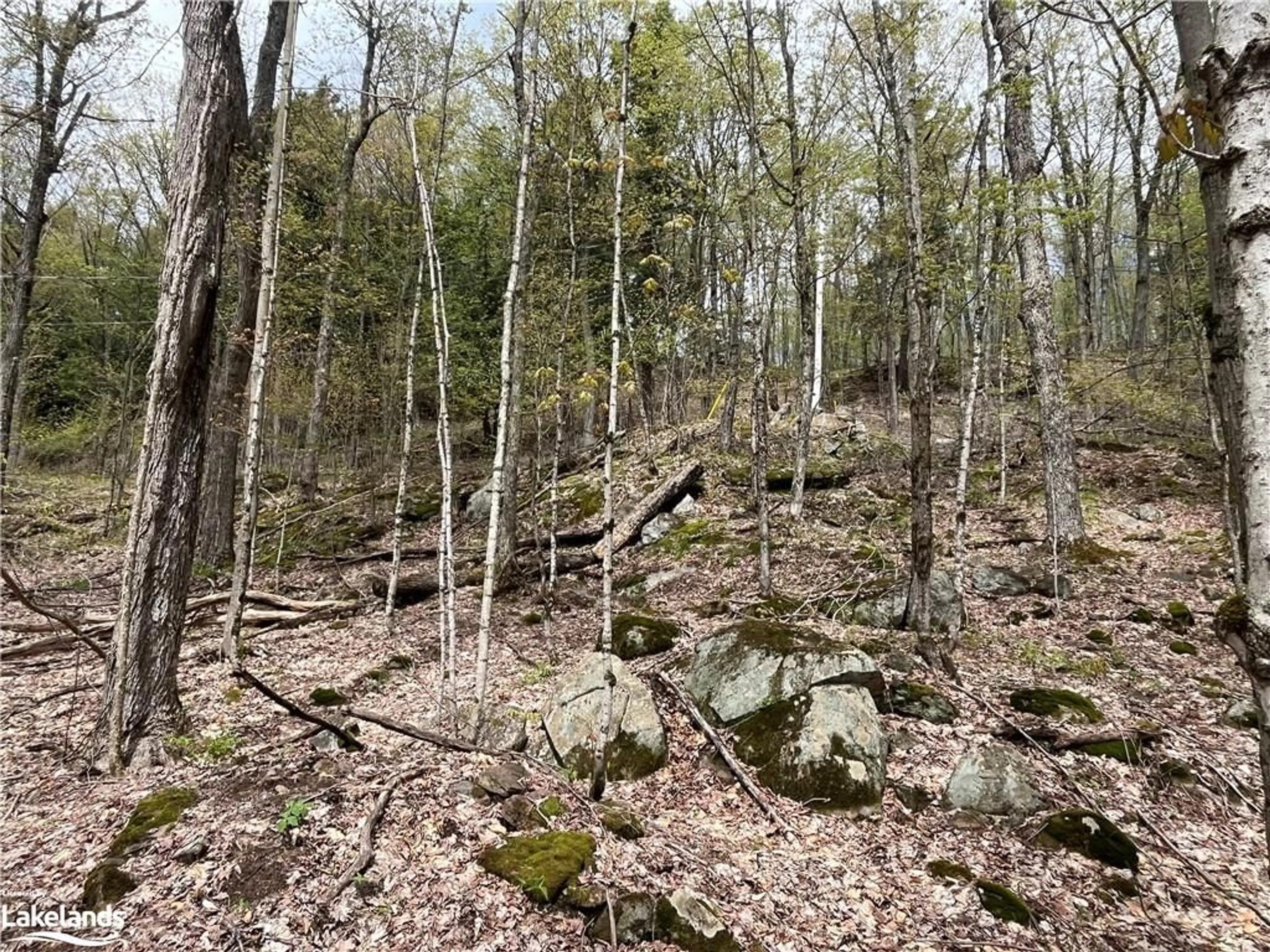 Forest view for LOT 133 Brennan Cir, Huntsville Ontario P1H 2J2