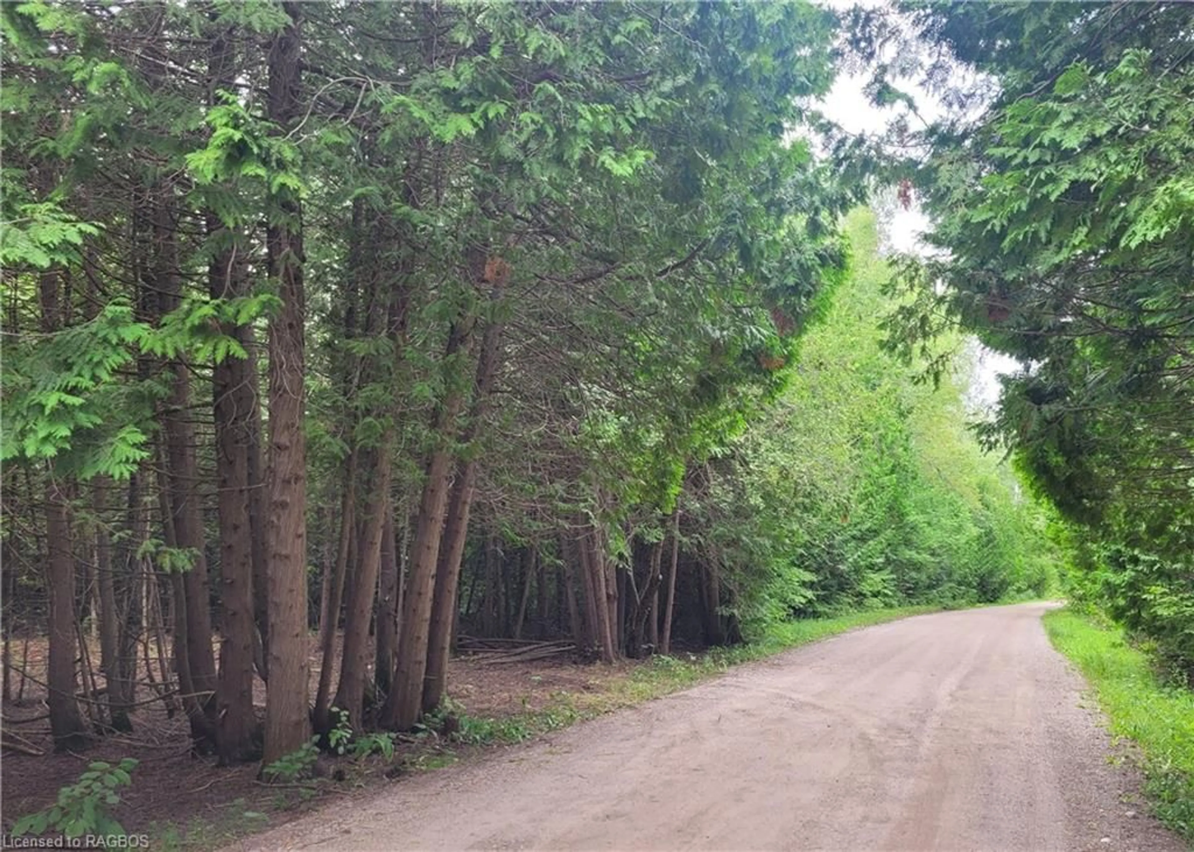 Forest view for 31-35 Cemetery Rd, Saugeen Shores Ontario N0H 2L0