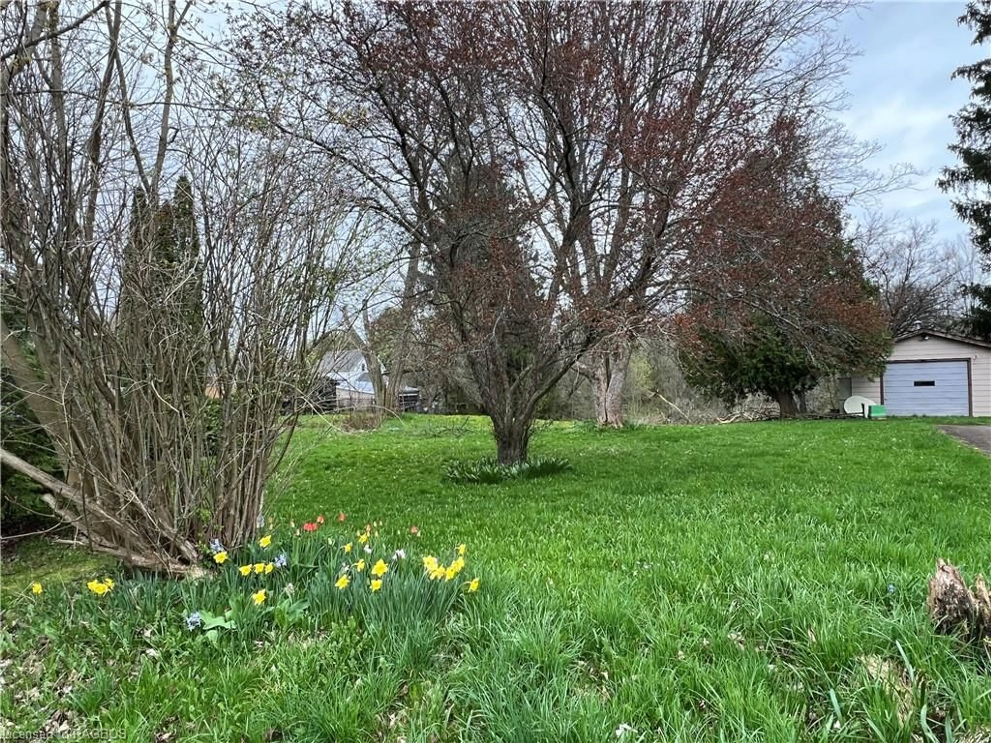 Shed for 791 23rd St, Owen Sound Ontario N4K 4H4