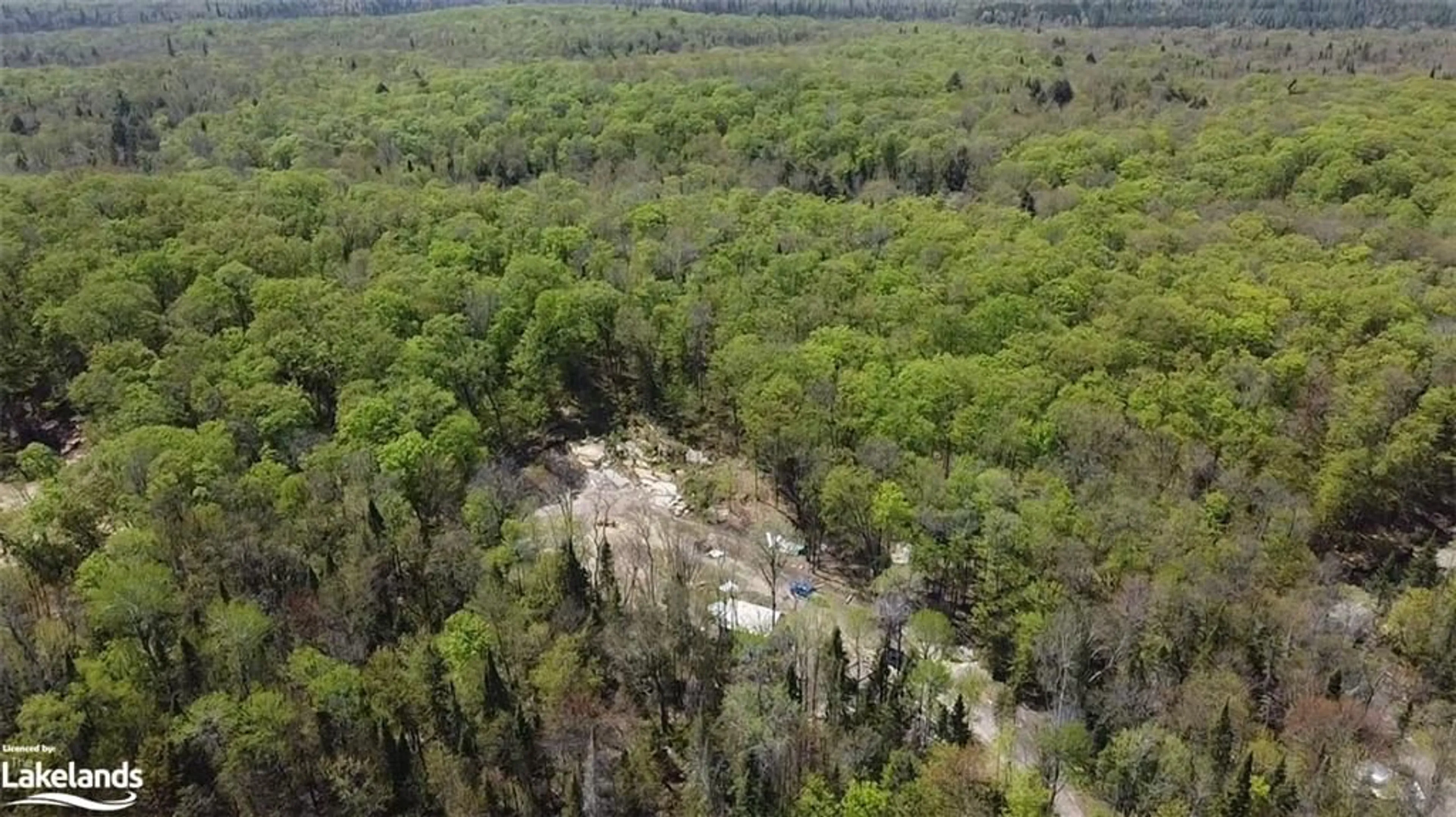 Forest view for 1188 Whitney Rd, Emsdale Ontario P0A 1J0