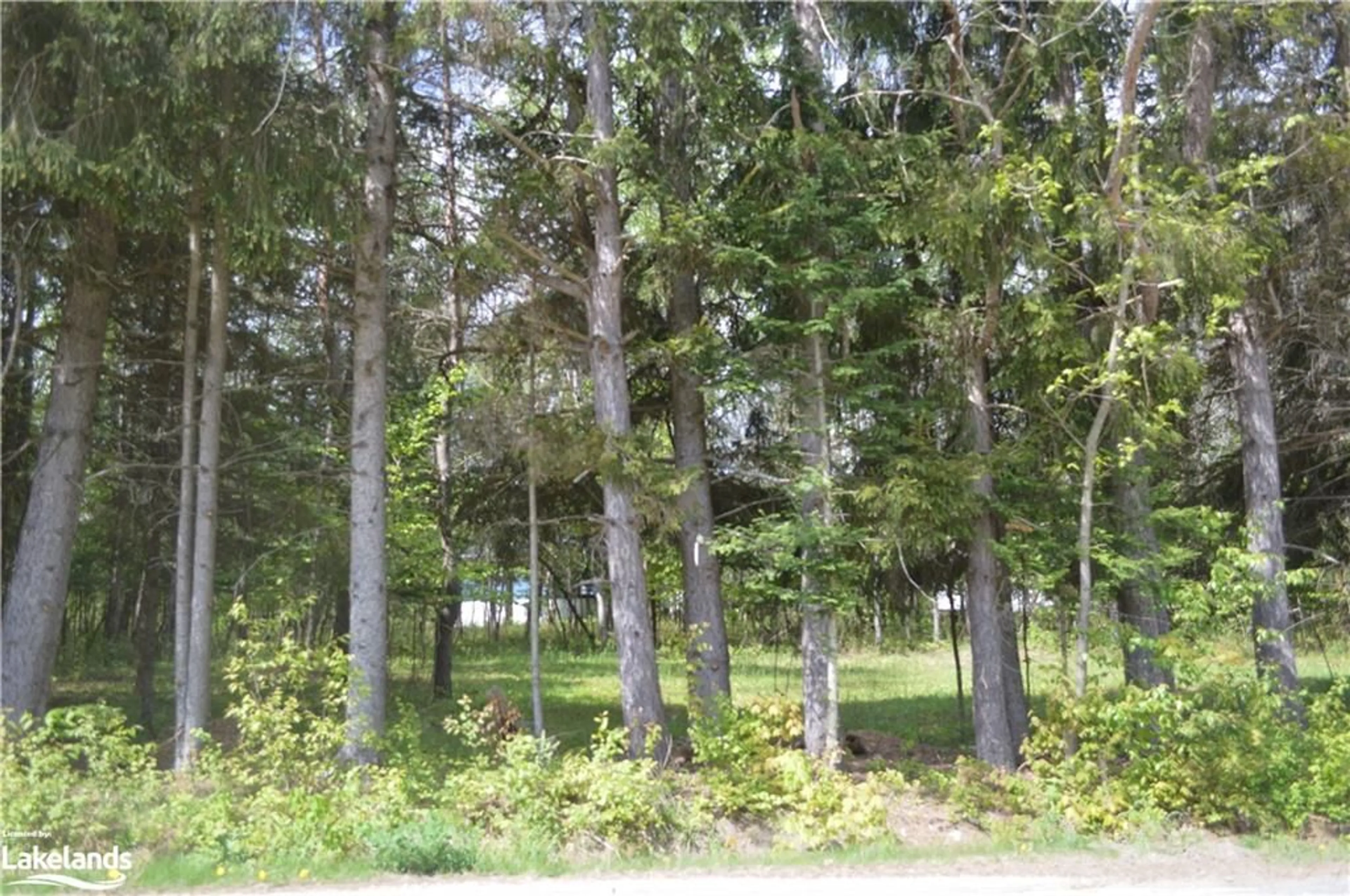Forest view for 0 Stills Rd, Eagle Lake Ontario K0M 1M0