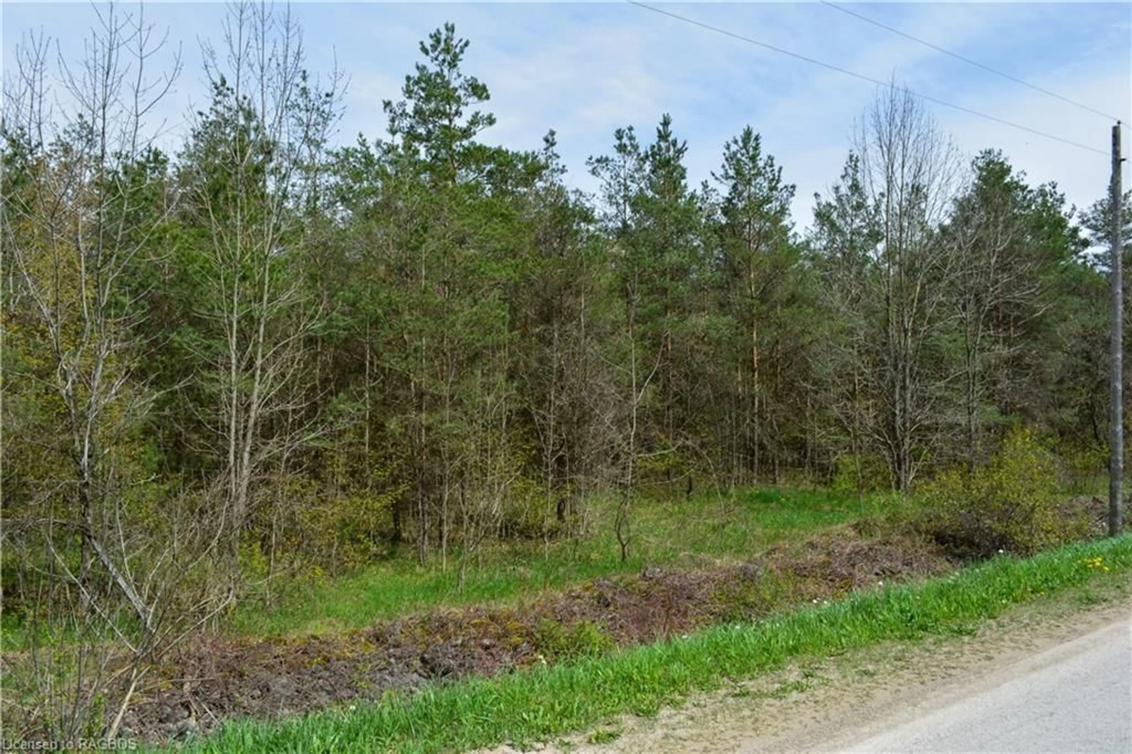 Forest view for CON 3 EGR PT LO Concession, Chatsworth Ontario N0H 2V0