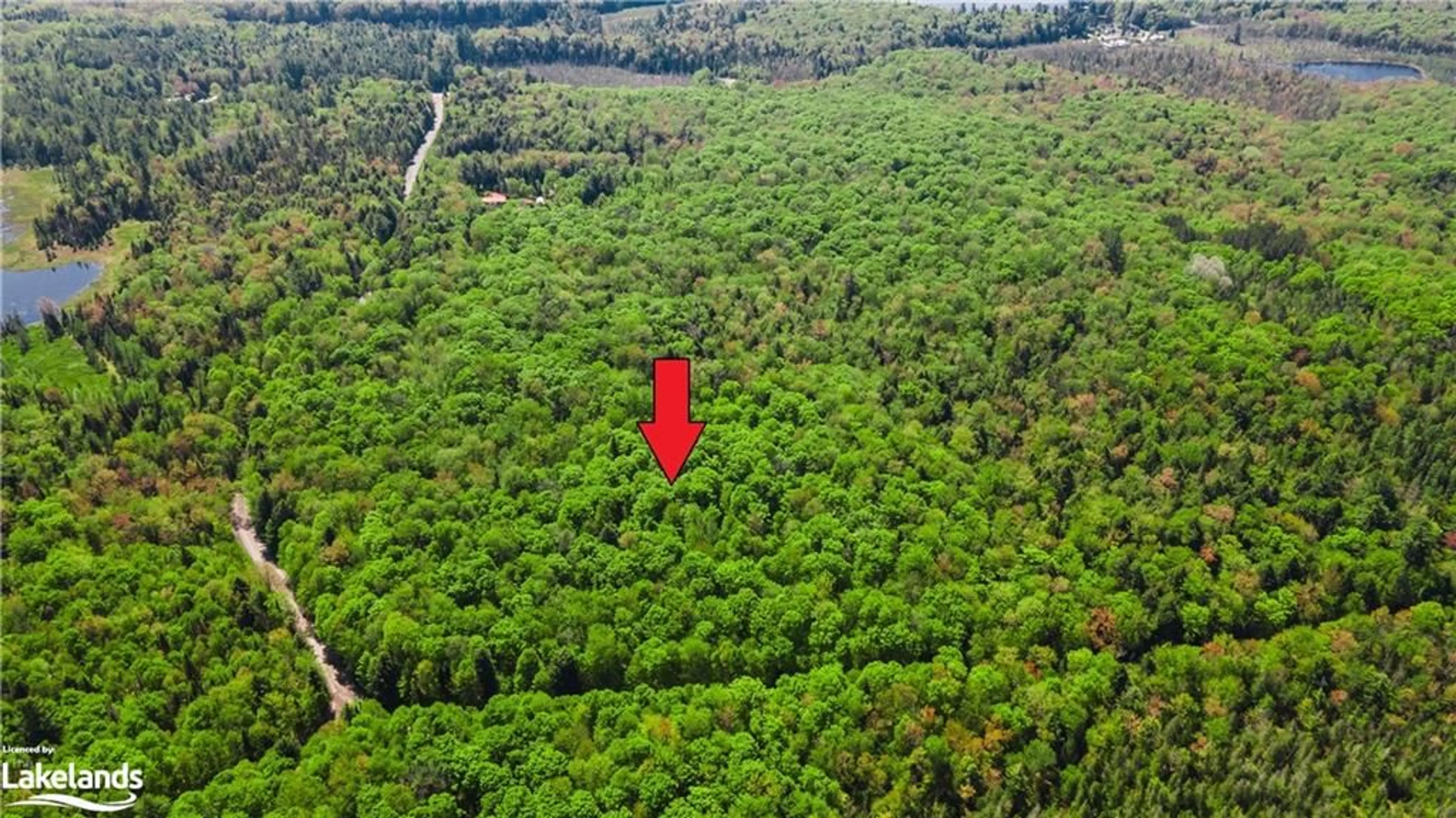Forest view for 0 Healey Lake Rd, Bracebridge Ontario P1L 1X3
