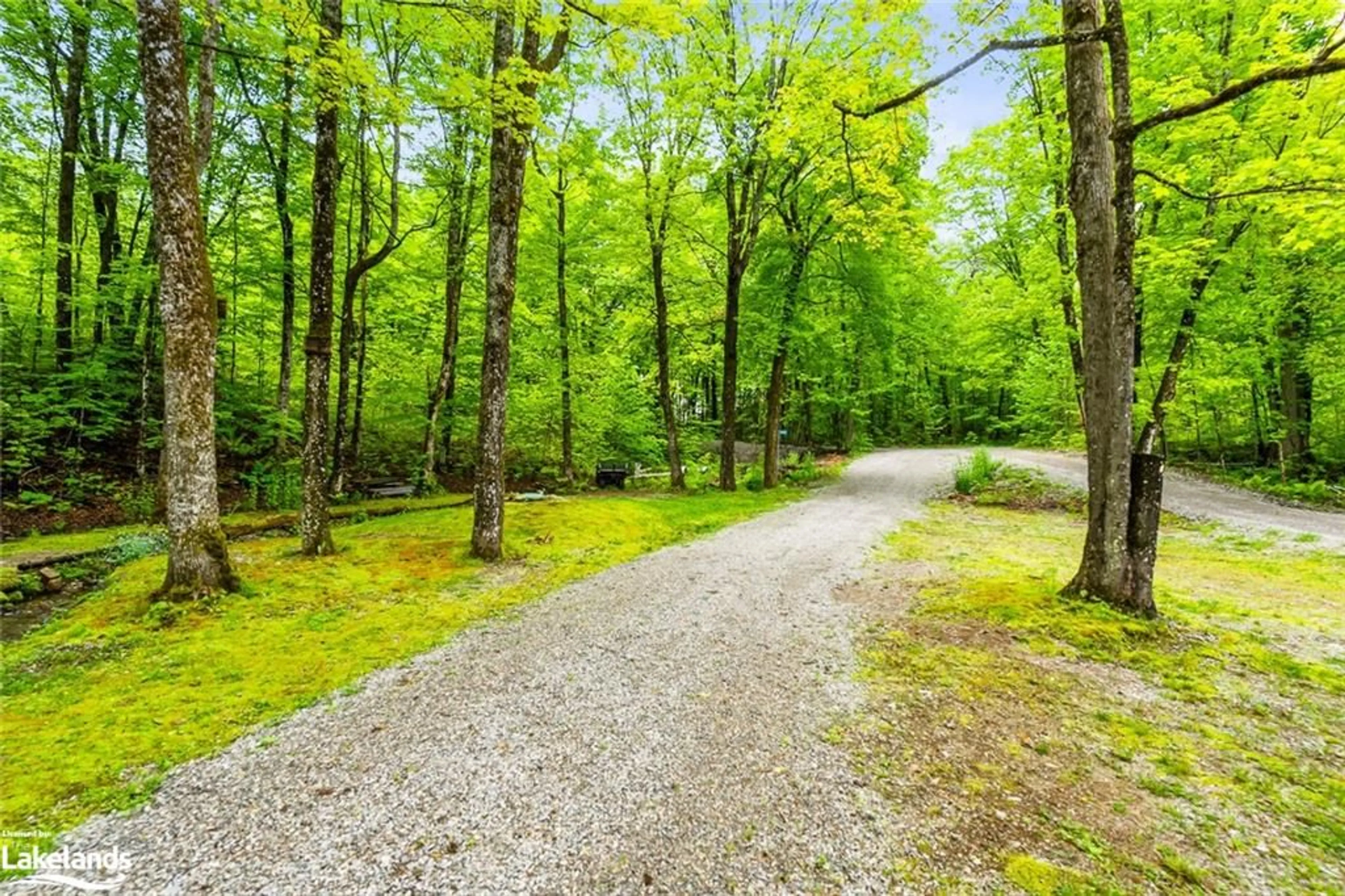 Forest view for 1069 Canuck Trail, Minden Ontario K0M 2A1