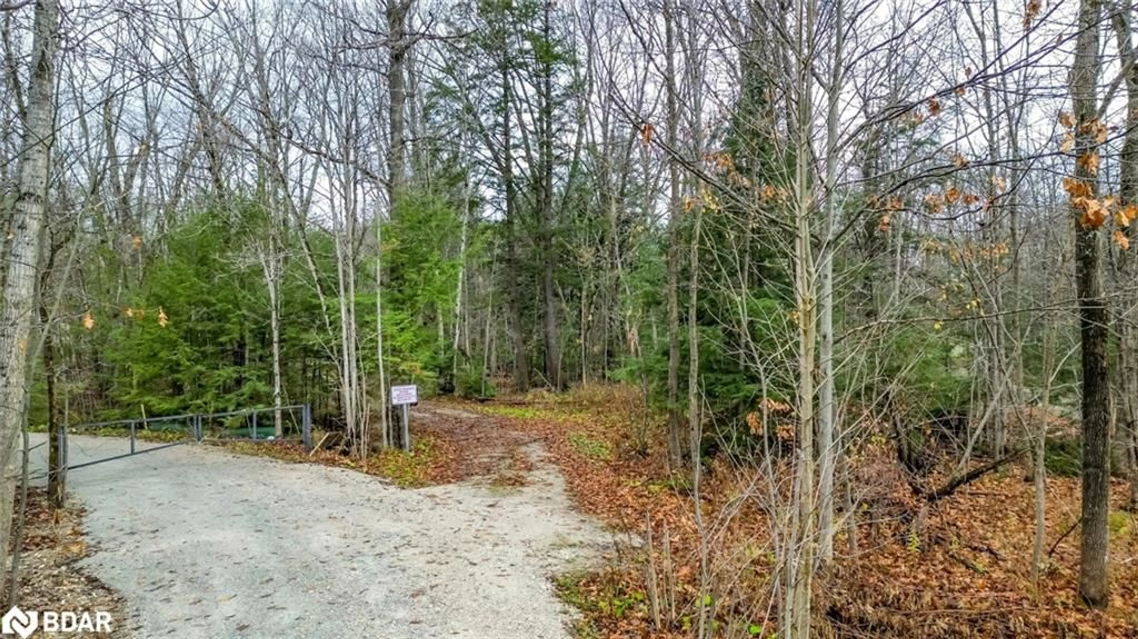 Forest view for 7012 County Road 169, Washago Ontario L0K 2B0