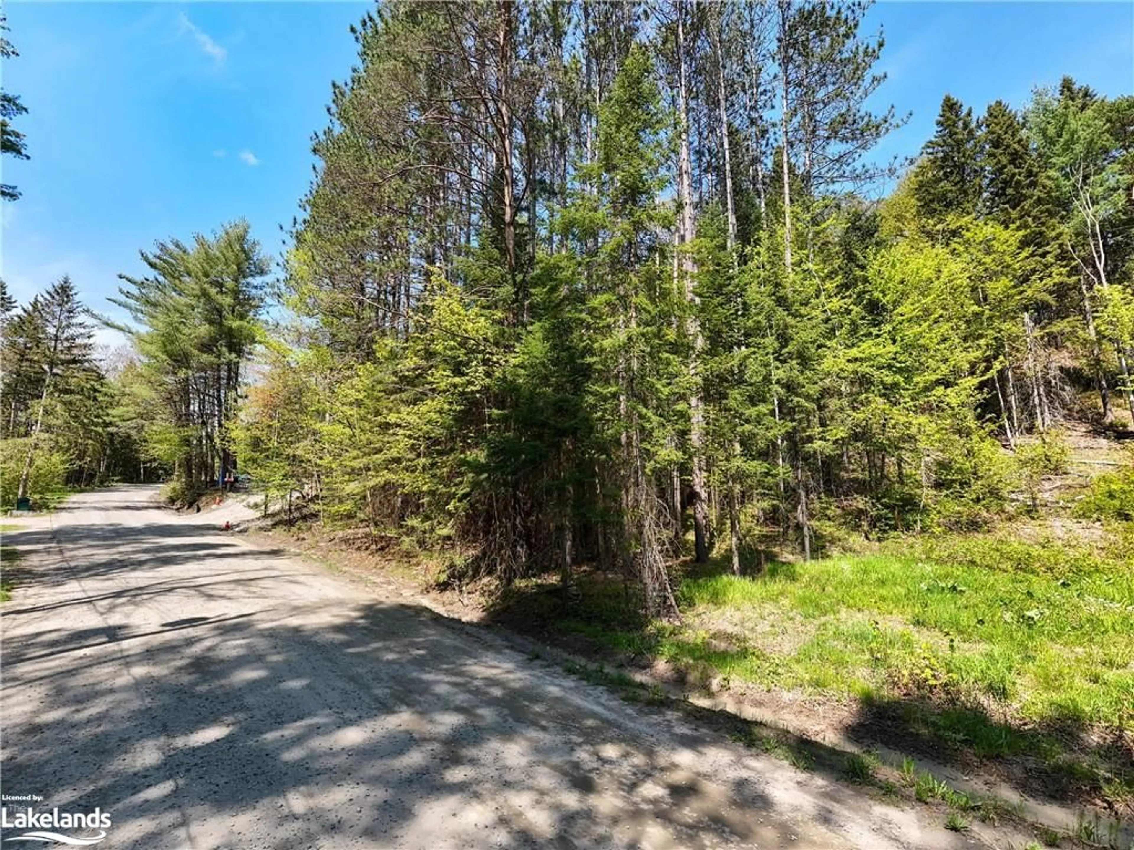 Forest view for 75 Balsam Chutes Rd, Port Sydney Ontario P0B 1L0