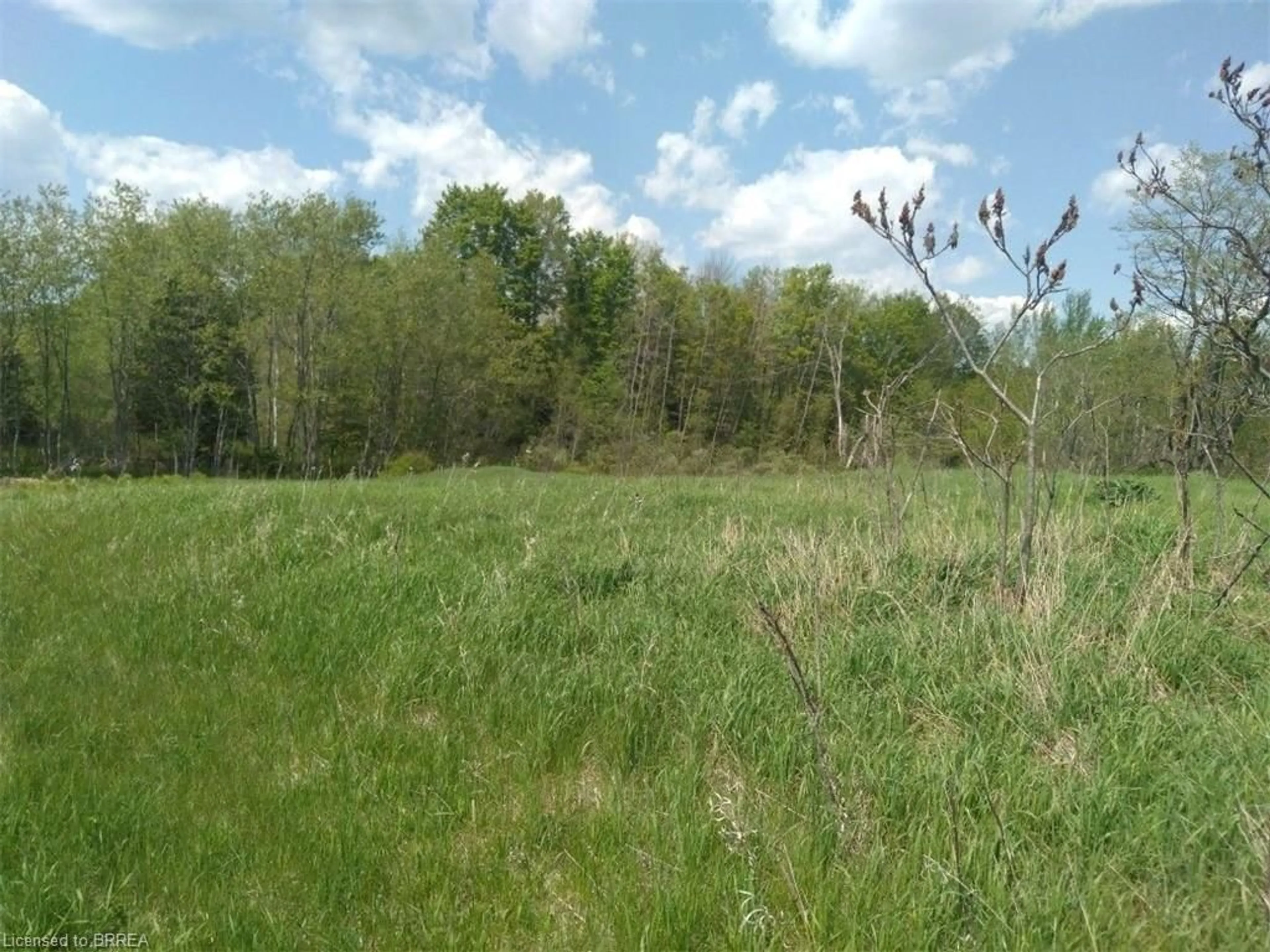 Forest view for 0 Armstrong Line, Maberly Ontario K0H 2B0