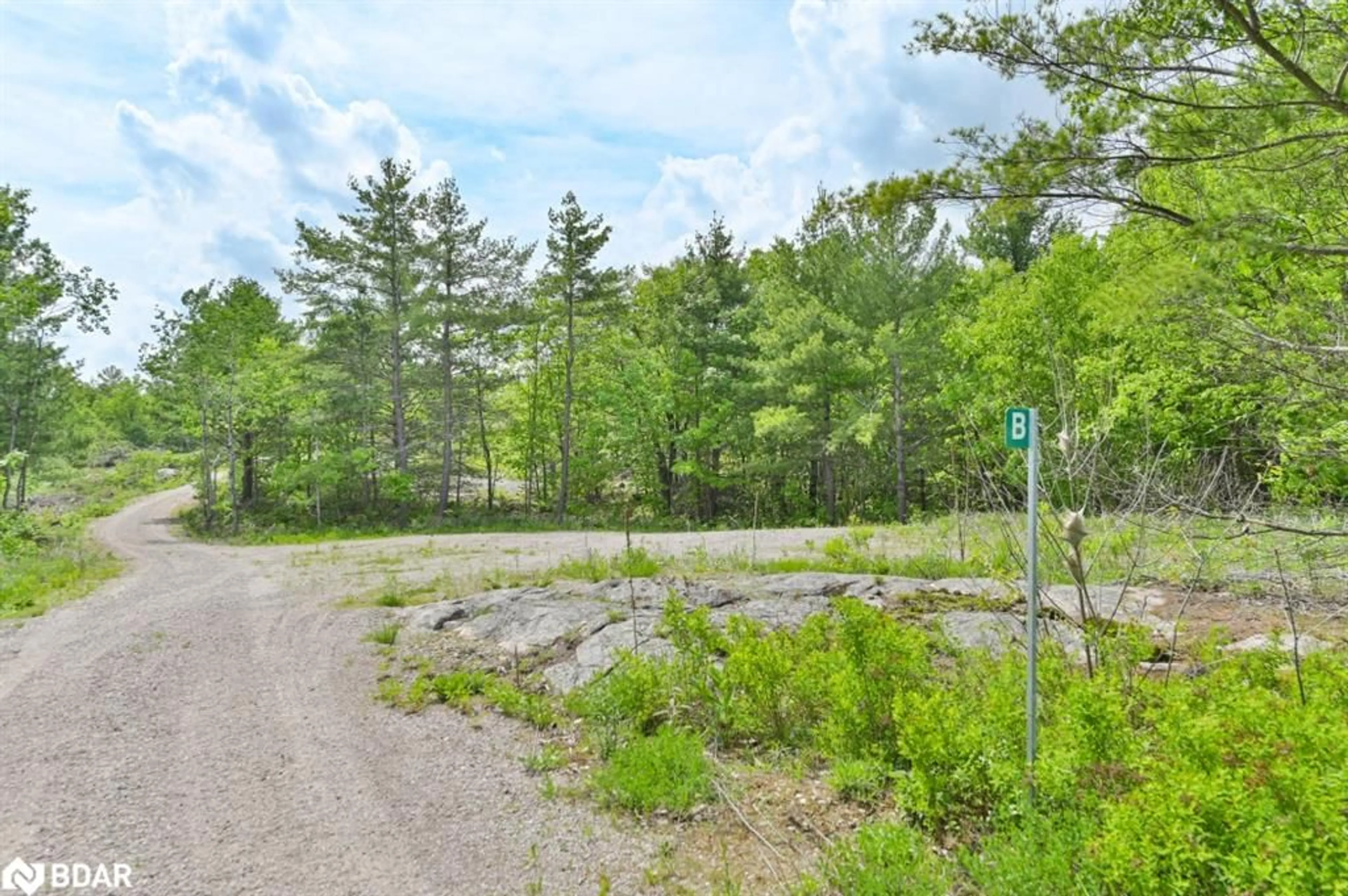 Patio, the street view for 10450B Highway 41, Kaladar Ontario K0K 1Z0