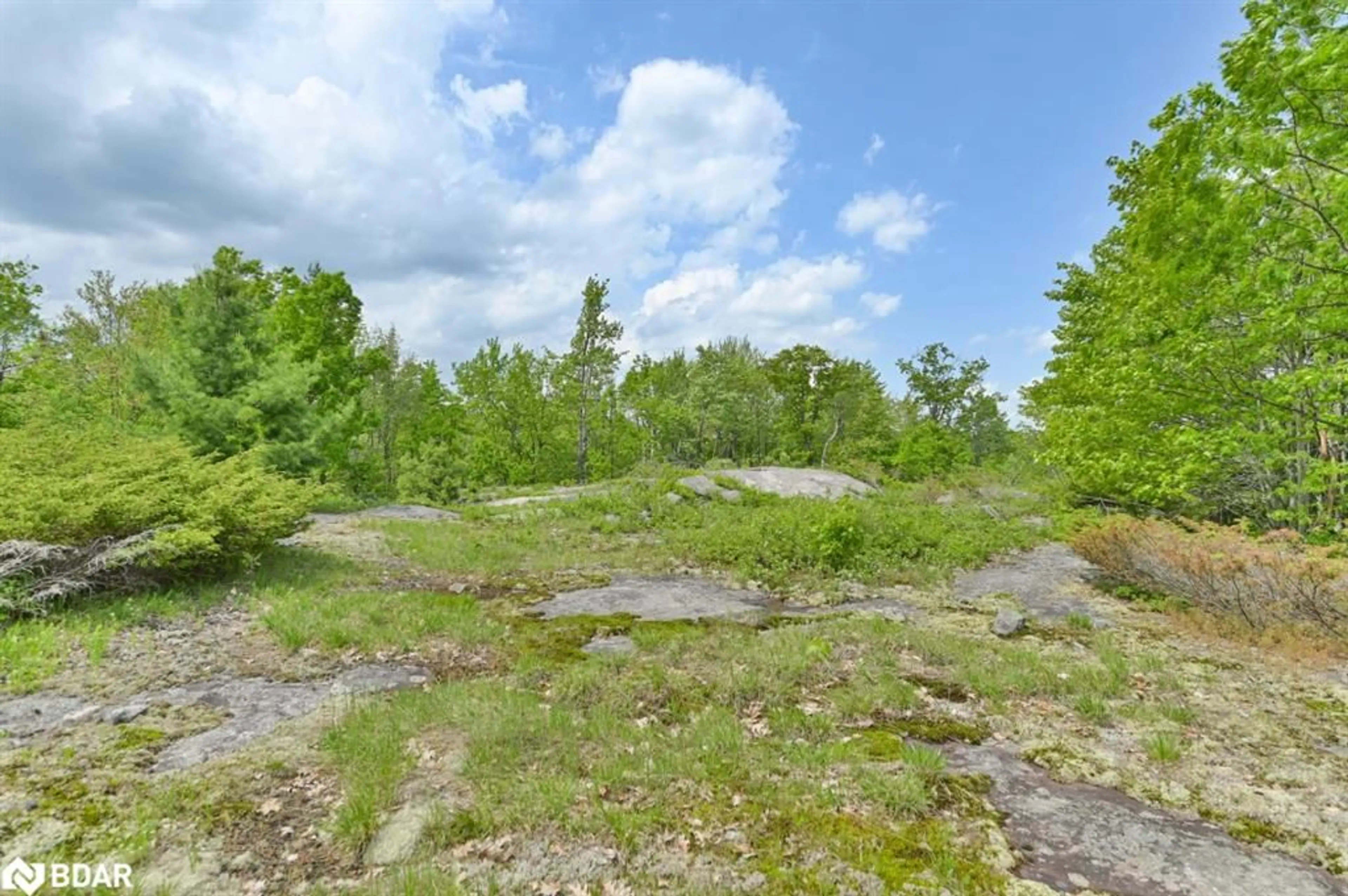 A pic of a room, not visible floor for 10450B Highway 41, Kaladar Ontario K0K 1Z0