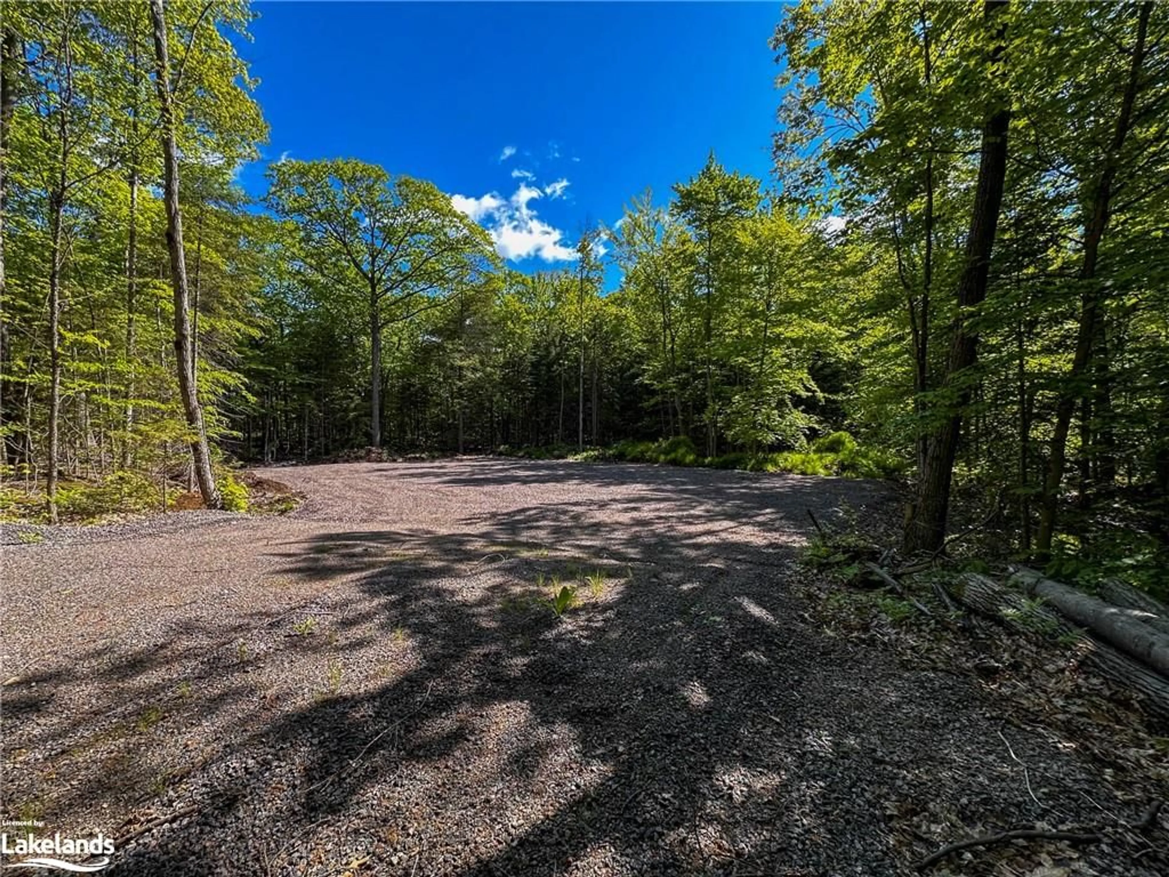 Forest view for 1066 South Muldrew Lake Road Rd, Kilworthy Ontario P0E 1G0