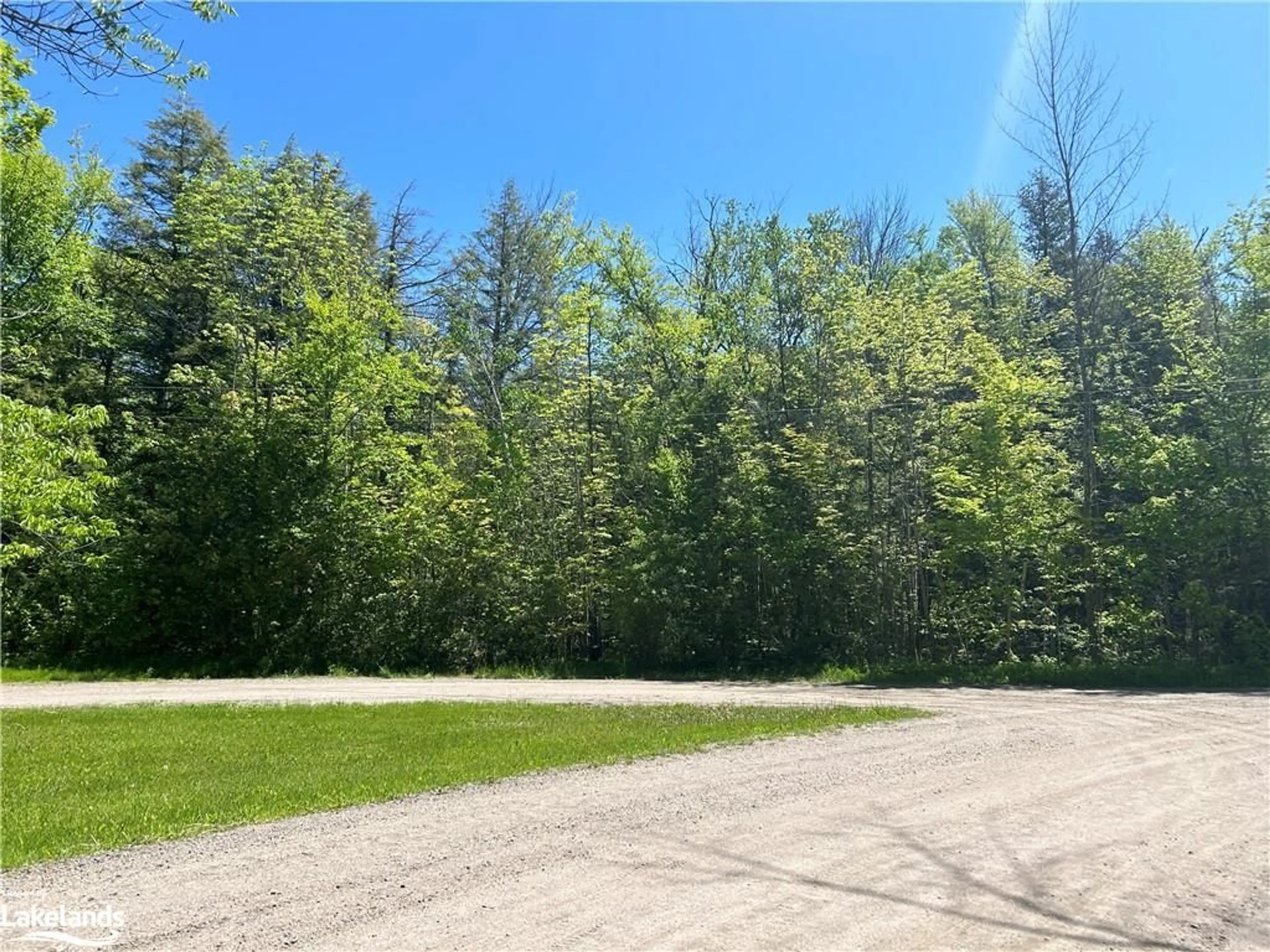 Forest view for 38 Lasalle Trail, Tiny Ontario L9M 0G3