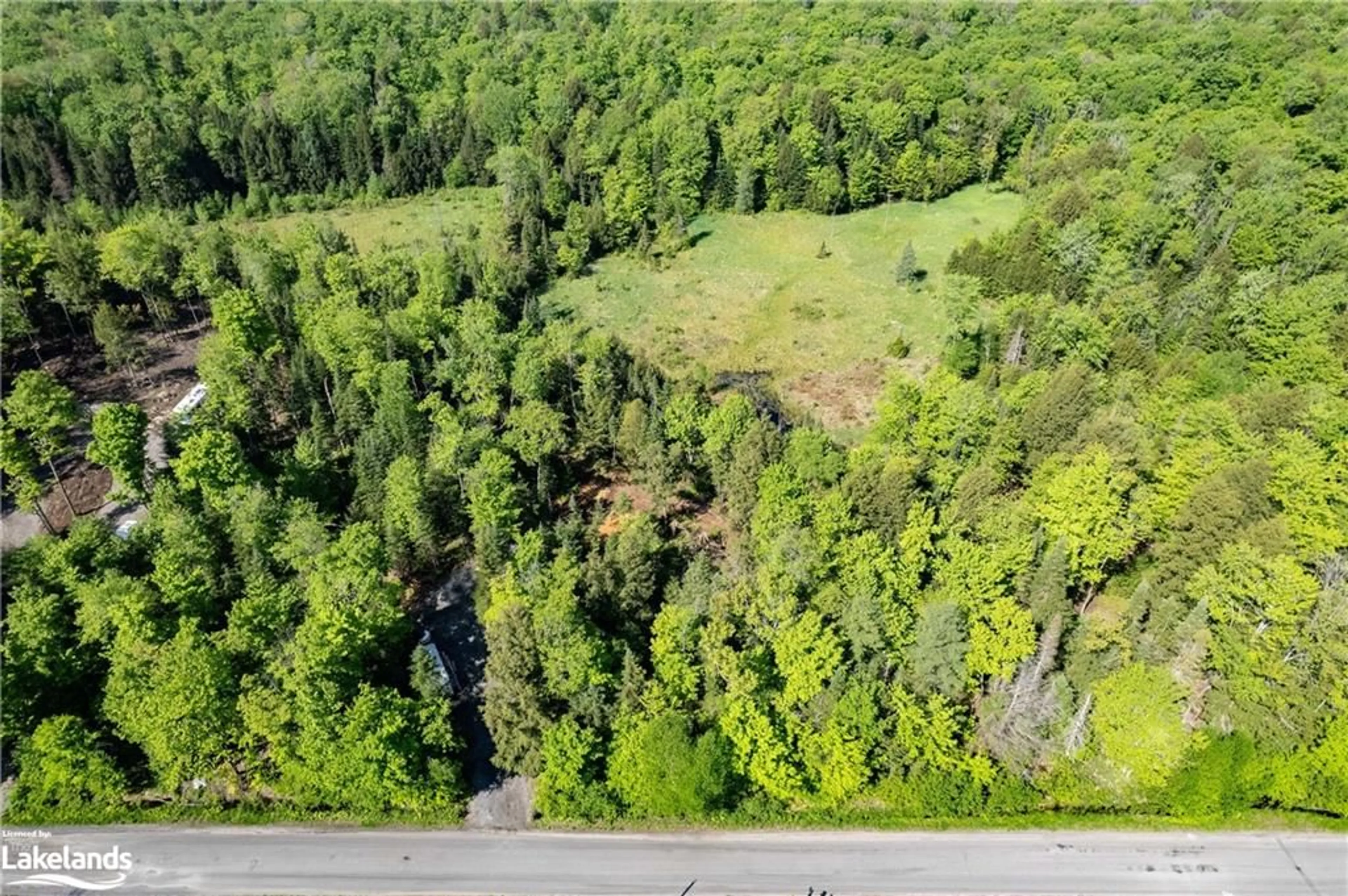 Forest view for 1260 Purbrook Rd, Bracebridge Ontario P1L 1X3