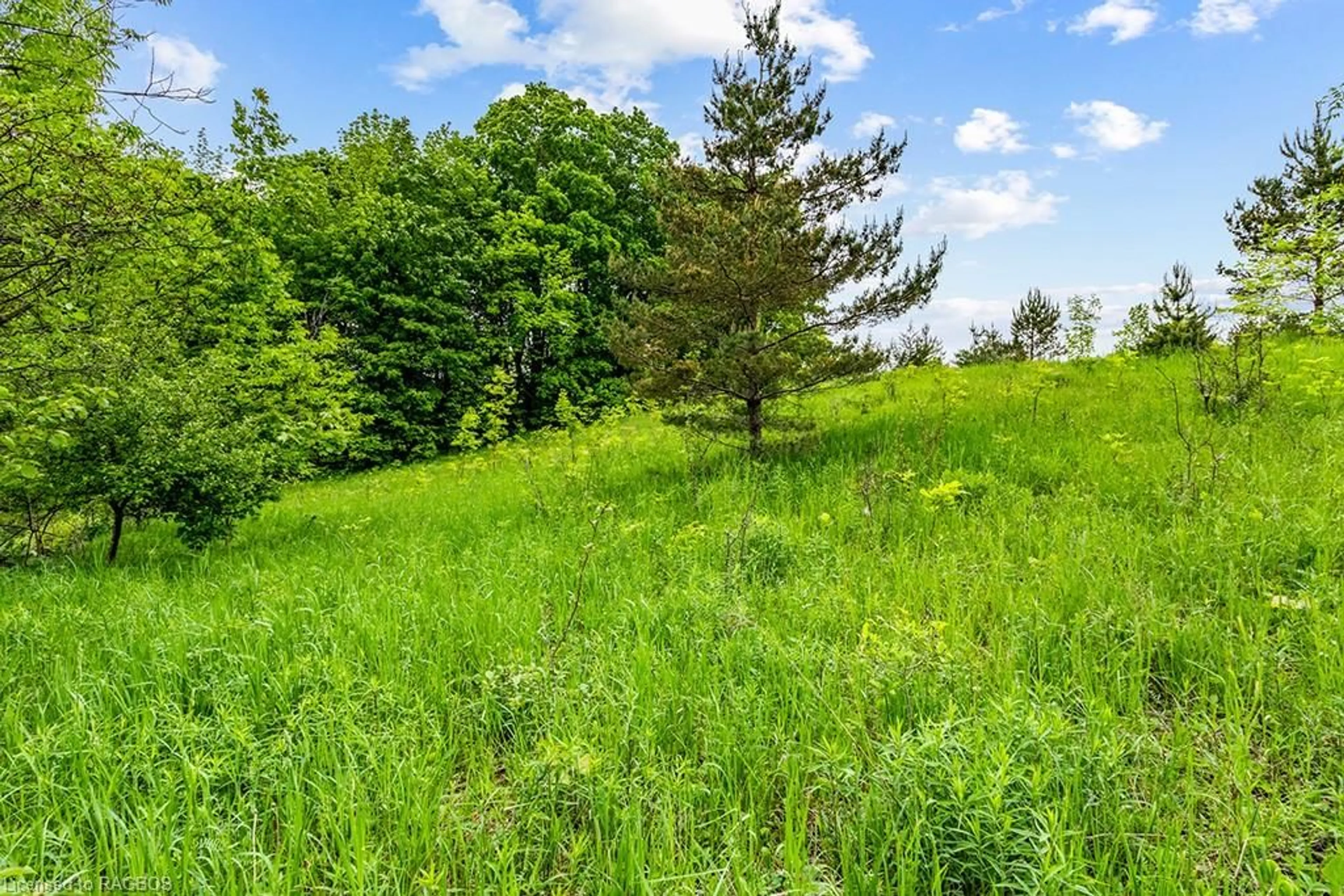 A pic from exterior of the house or condo, forest for PT LOT 16 Side Road 5, Chatsworth Ontario N0H 1G0