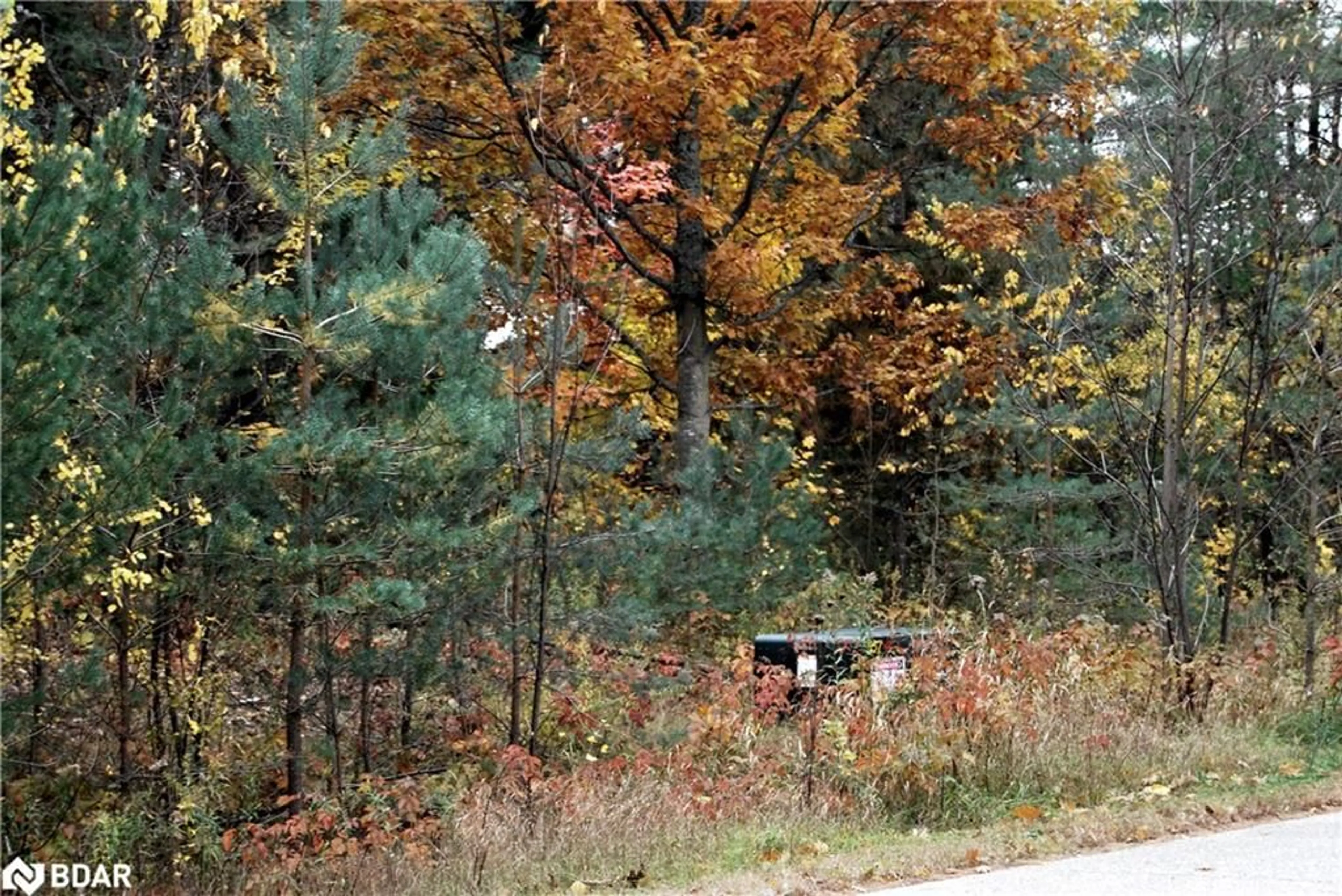 Shed for N/A Reynolds Rd, Tiny Ontario L0L 2T0