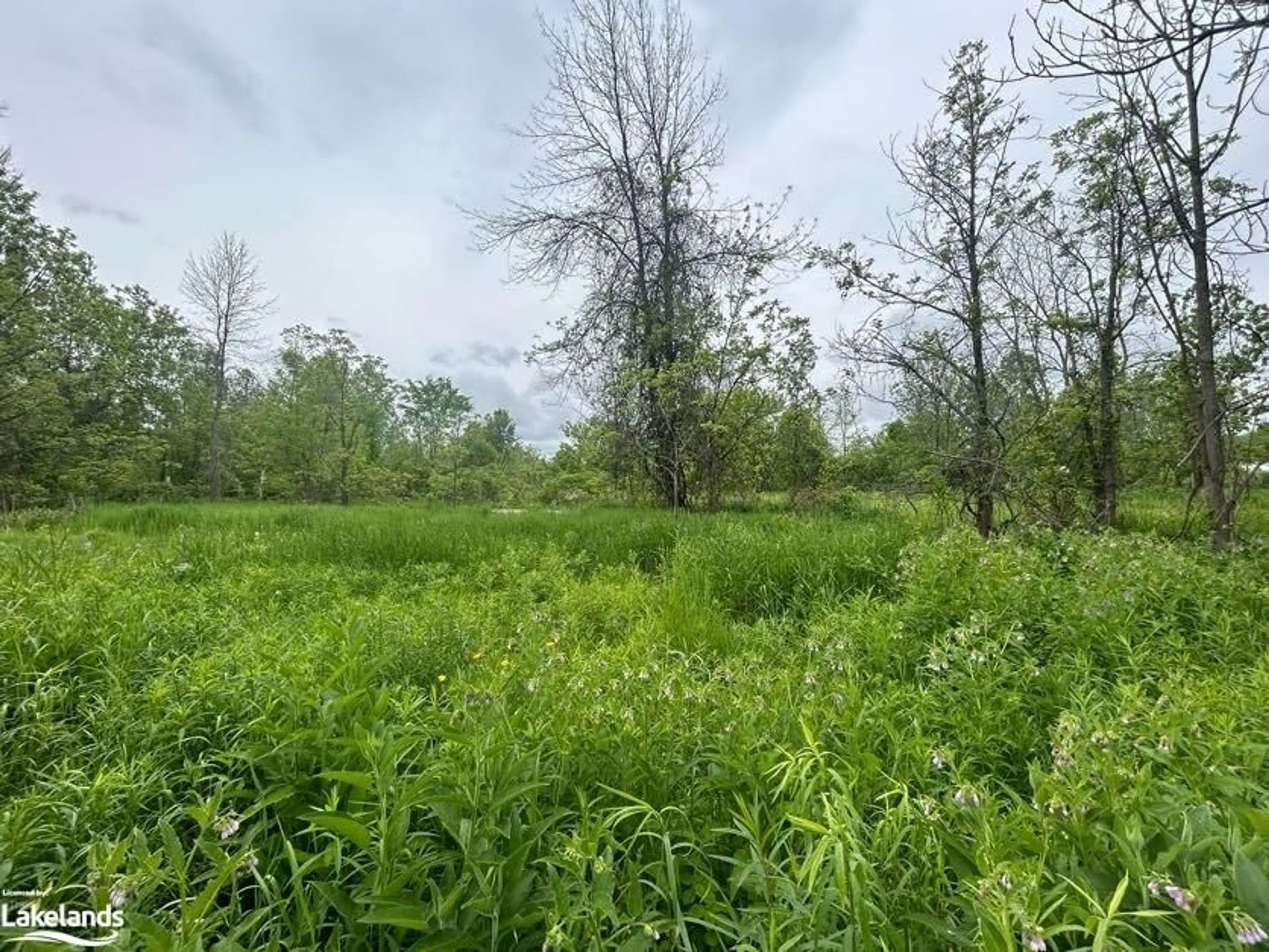 Forest view for 0 Reinbird St, Coldwater Ontario L0K 1E0