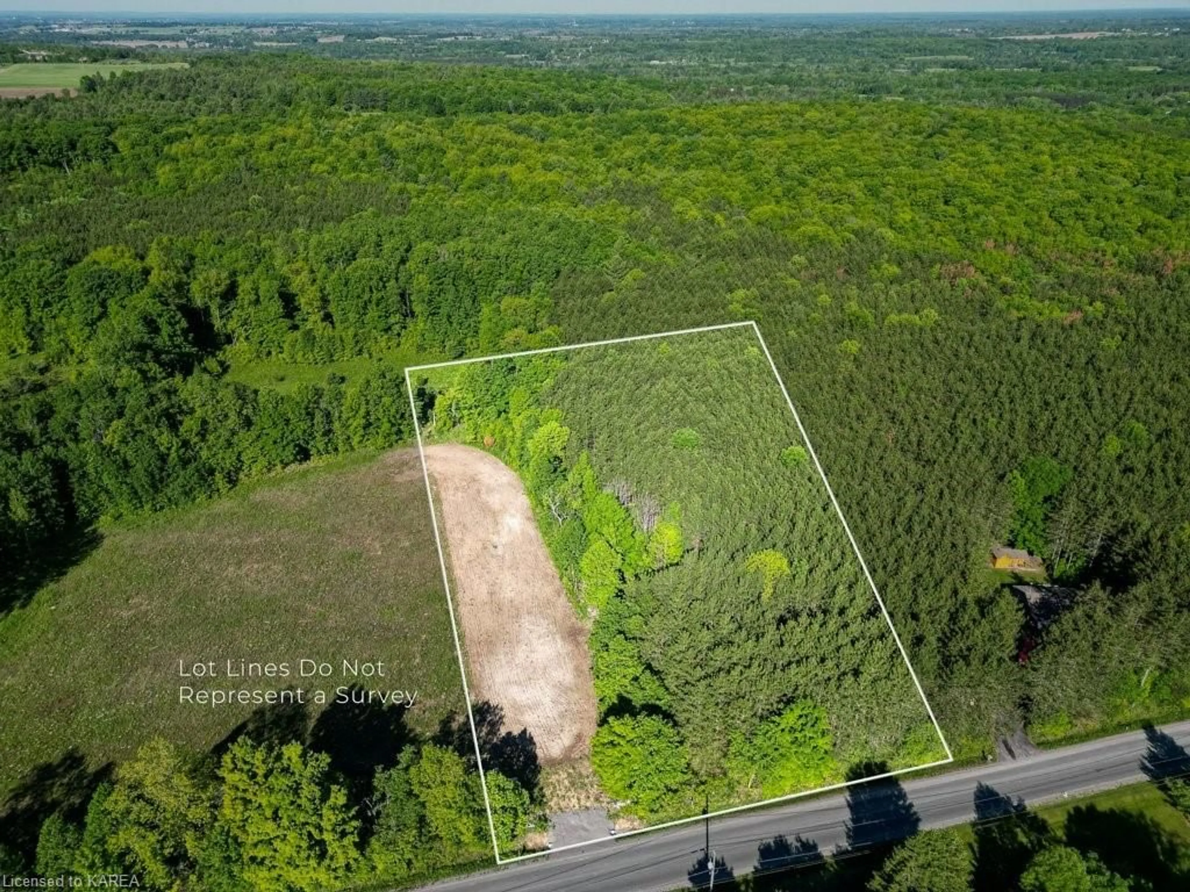 Forest view for 453 Carson Rd, Stirling Ontario K0K 3H0