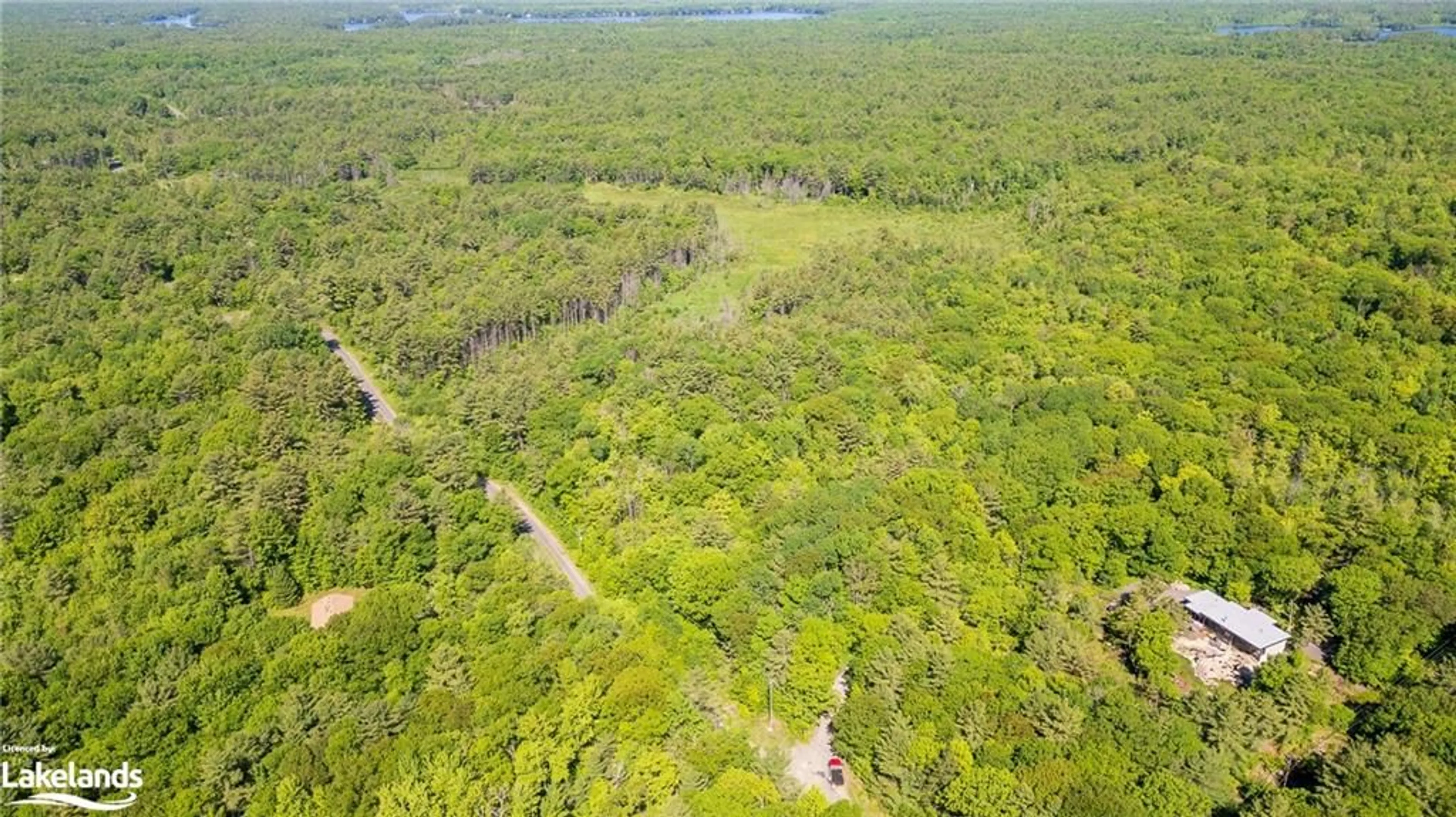 Forest view for 0 Southwood Rd, Gravenhurst Ontario P0E 1G0