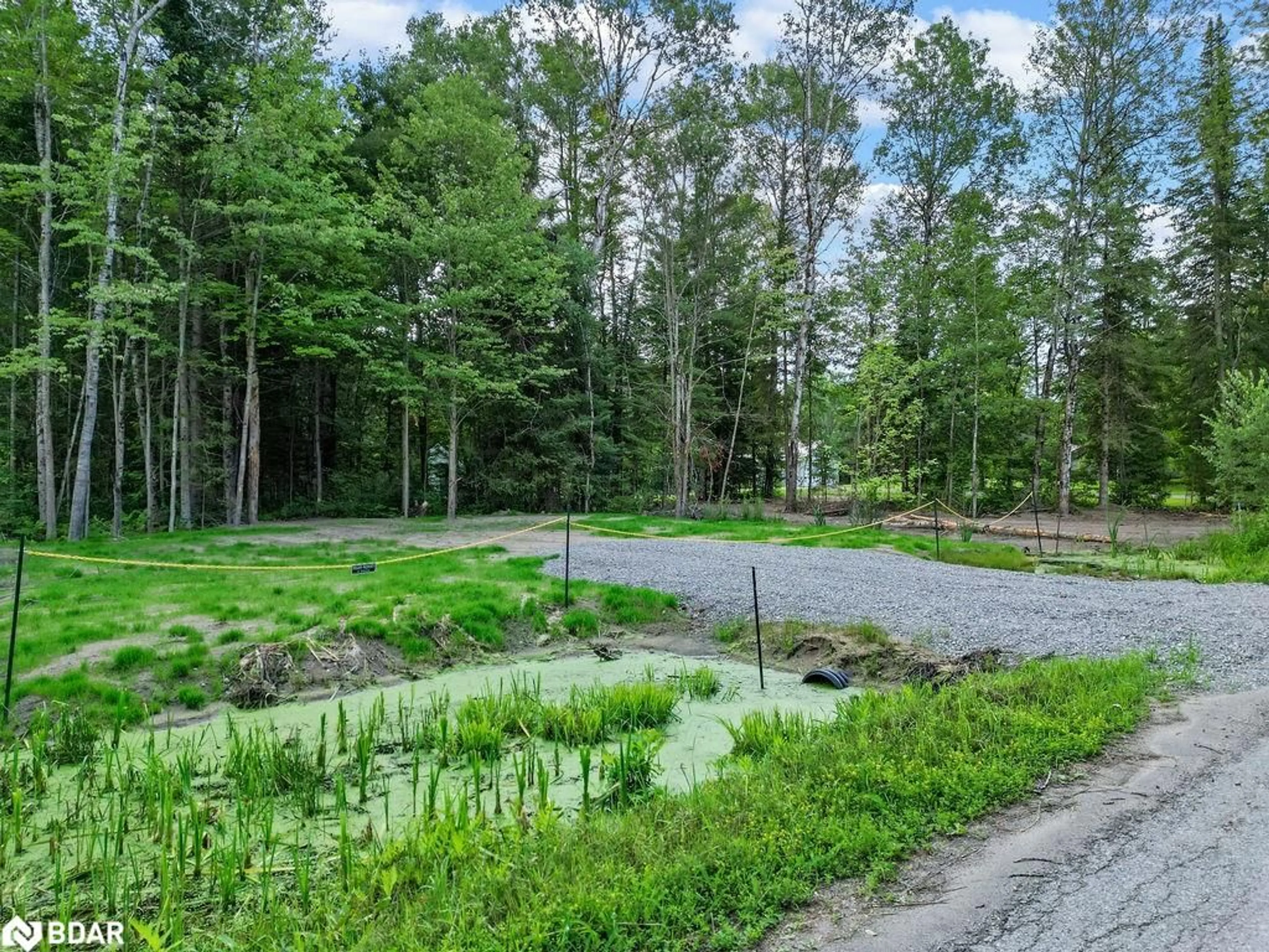 Forest view for LT 6 Crego St, Kinmount Ontario K0M 2A0