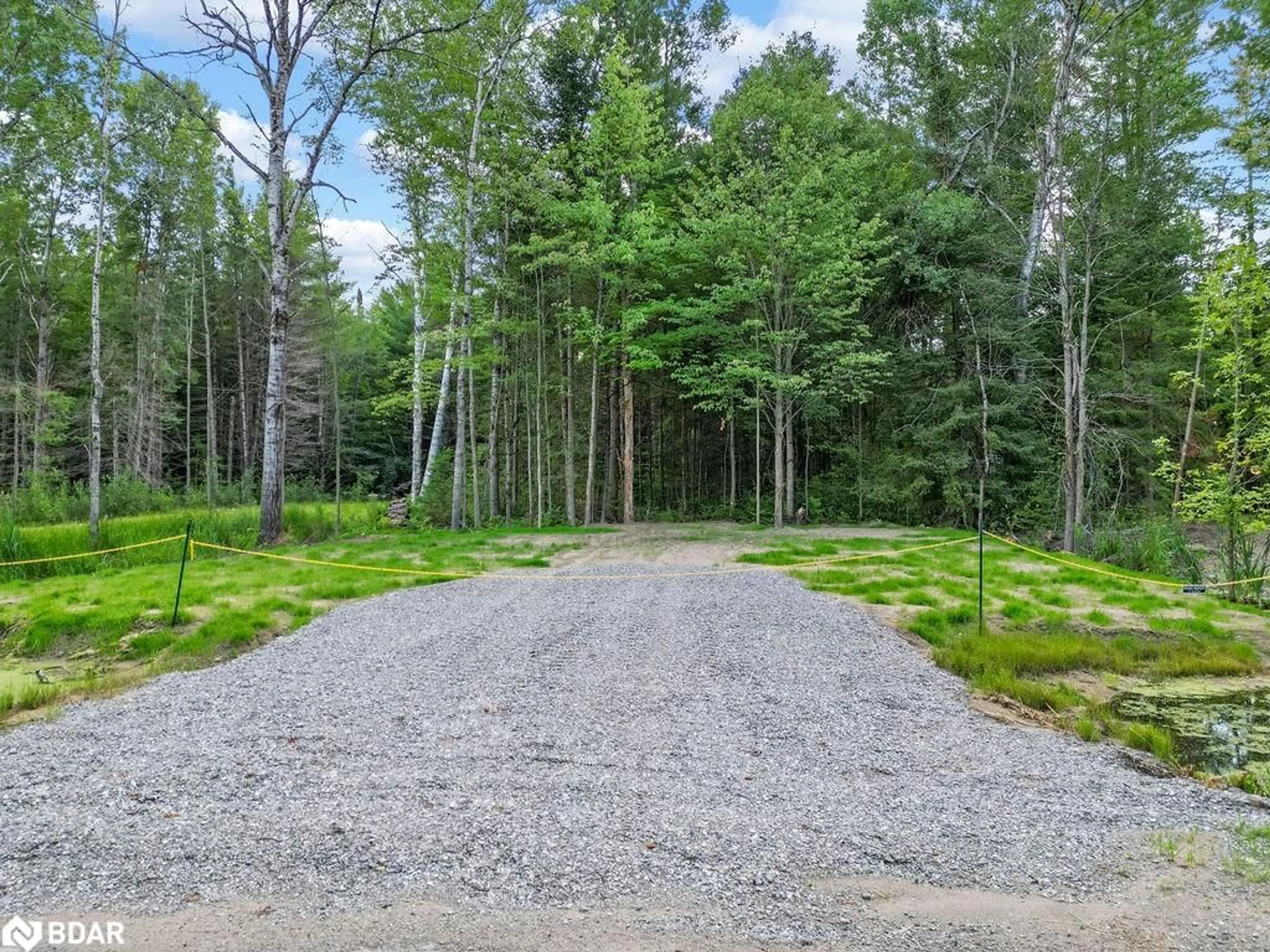 Forest view for LT 6 Crego St, Kinmount Ontario K0M 2A0